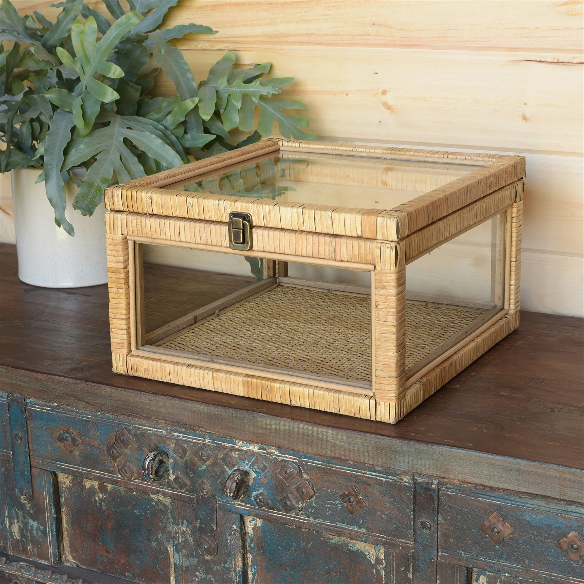 Cayman Rattan and Glass Case By HomArt - Image 3