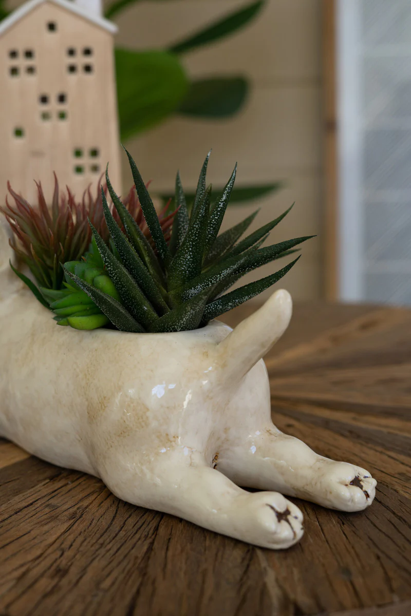 Ceramic Bull Terrier Planter By Kalalou - Image 3
