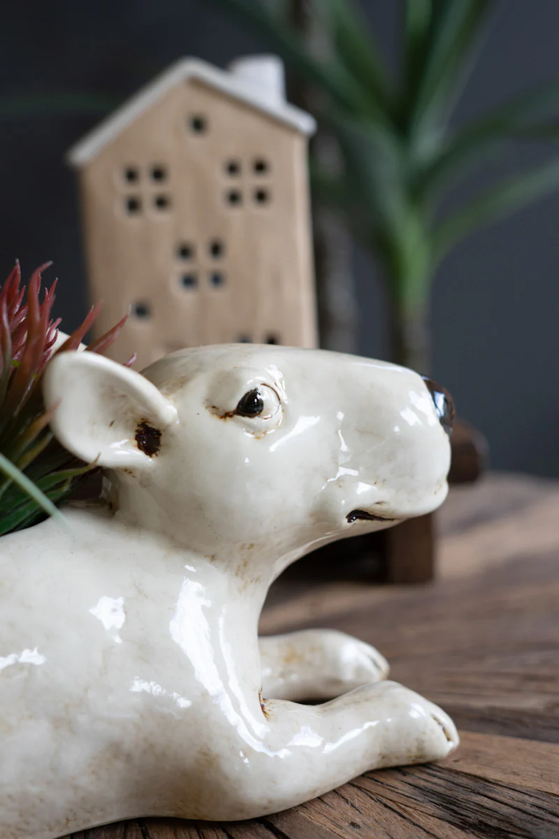 Ceramic Bull Terrier Planter By Kalalou - Image 4