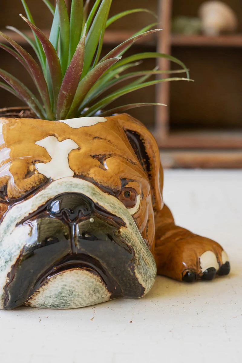 Ceramic Bulldog Planter (Min 2) By Kalalou - Image 3