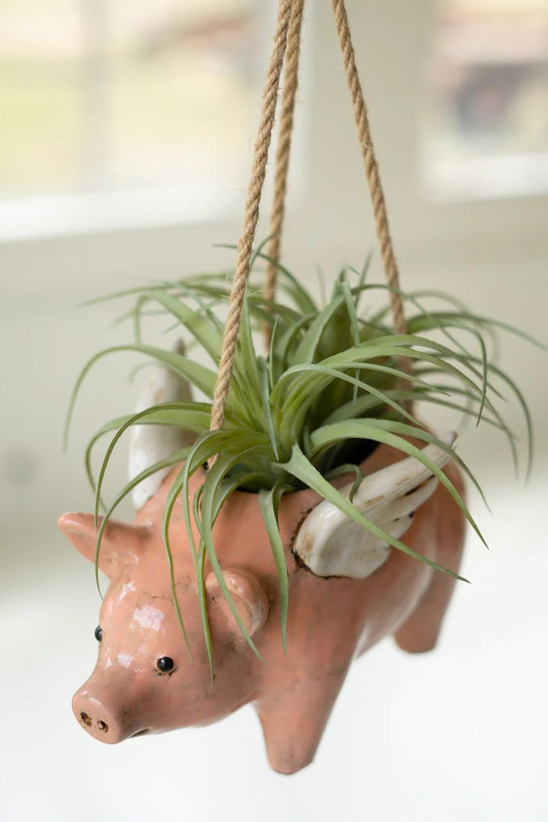 Ceramic Hanging Flying Pig Planter (Min 2) By Kalalou - Image 2