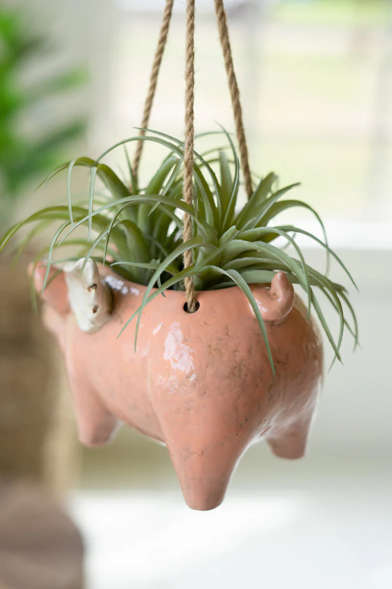 Ceramic Hanging Flying Pig Planter (Min 2) By Kalalou - Image 3