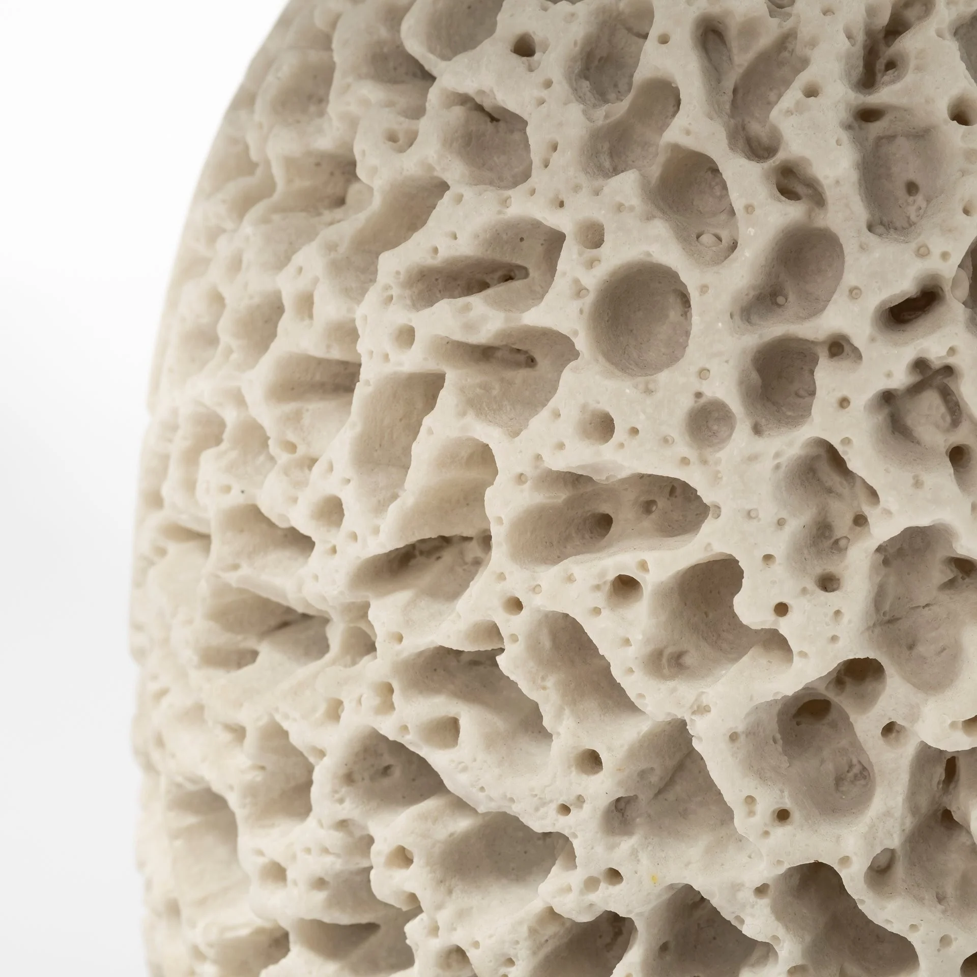 Coastal Beige Faux Coral Table Lamp By Homeroots - Image 5
