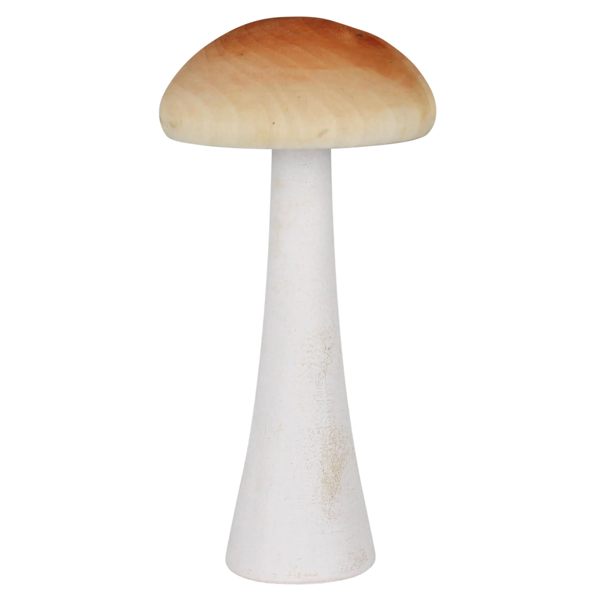 Colorful Mushrooms, Wood - Set of 6 By HomArt - Image 6