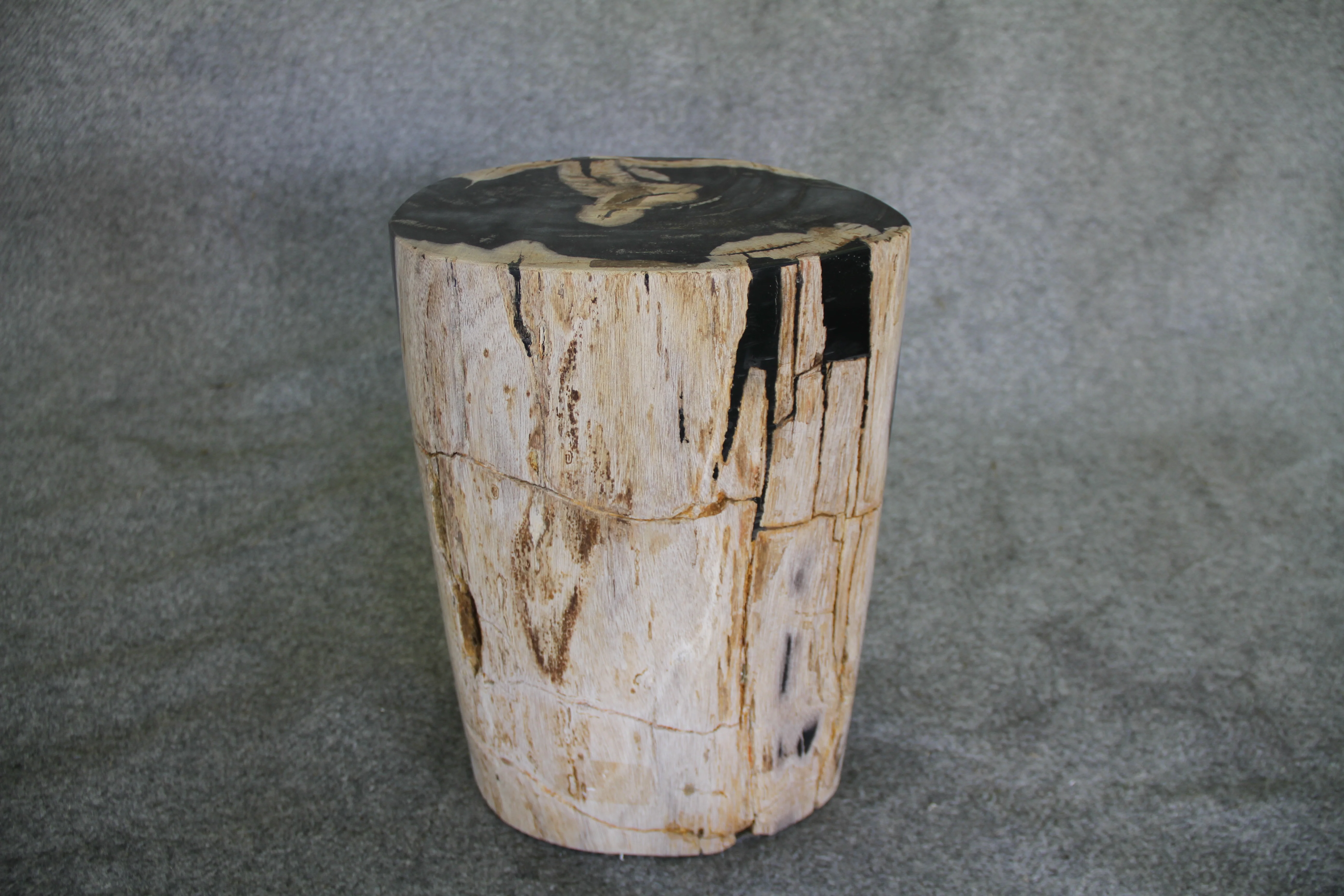 Petrified Wood Log Stool 11in x 8in x 16in (h) - 1687.21 - Image 5
