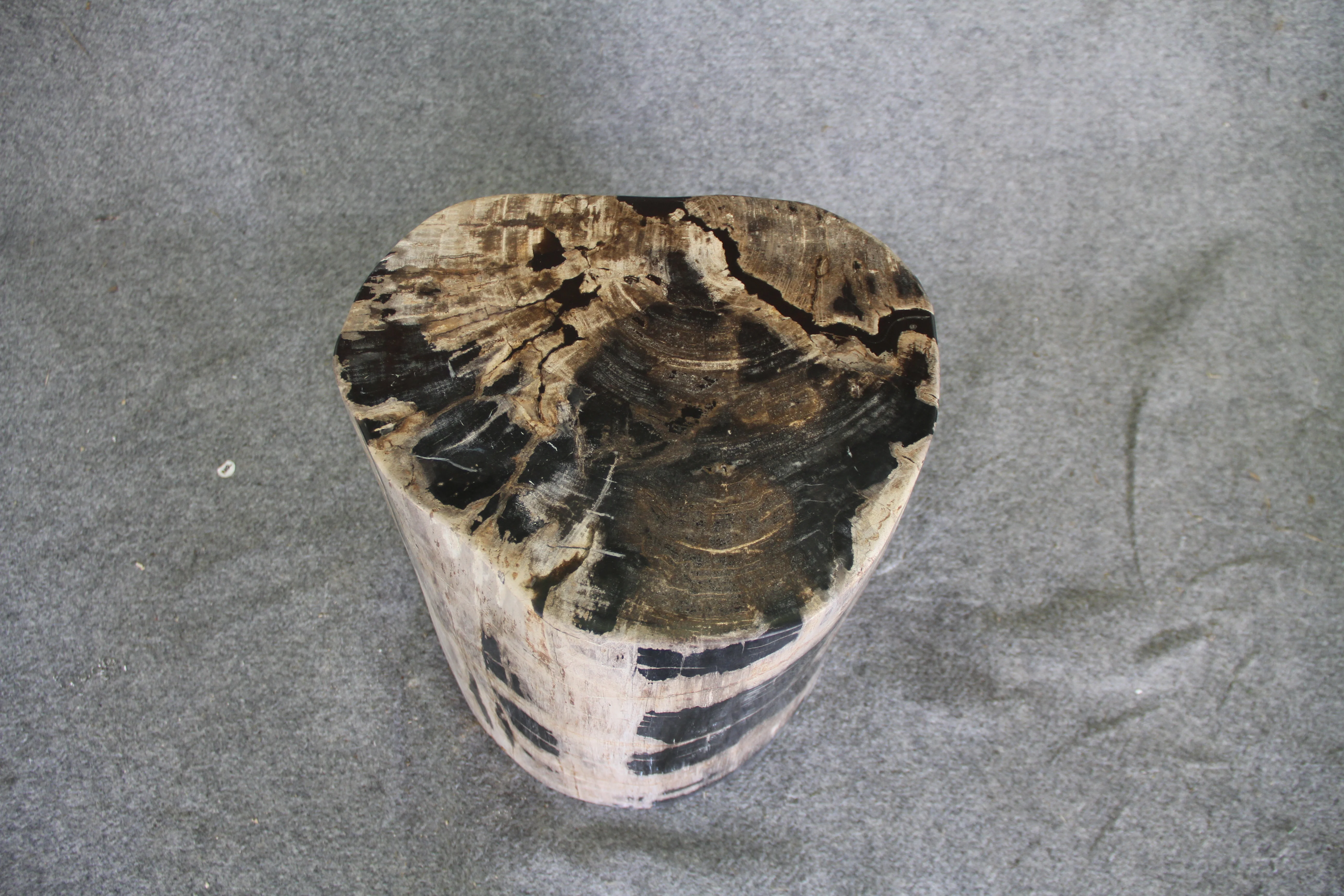 Petrified Wood Log Stool 15in x 13in x 16in (h) - 1631.22 - Image 2