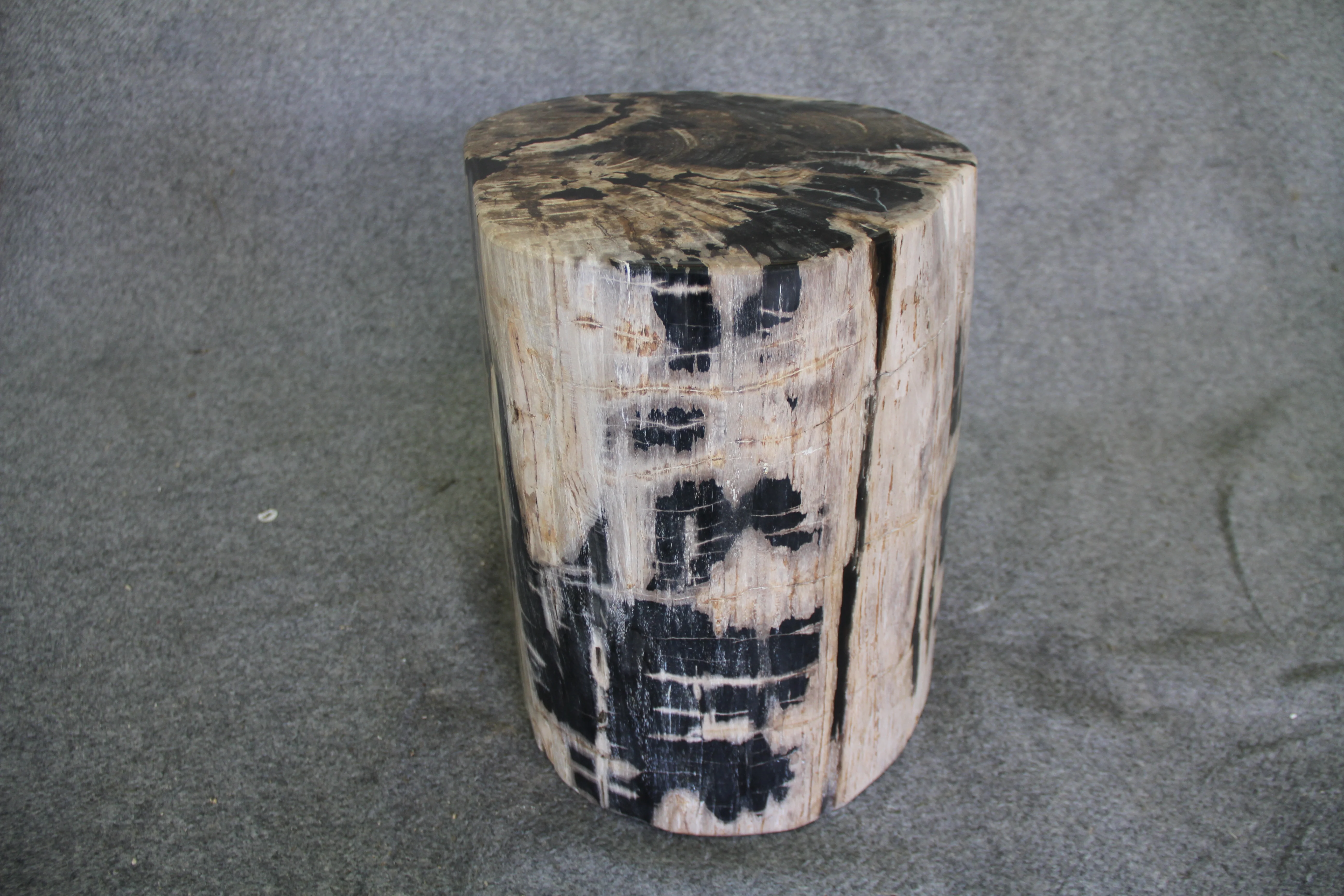 Petrified Wood Log Stool 15in x 13in x 16in (h) - 1631.22 - Image 3