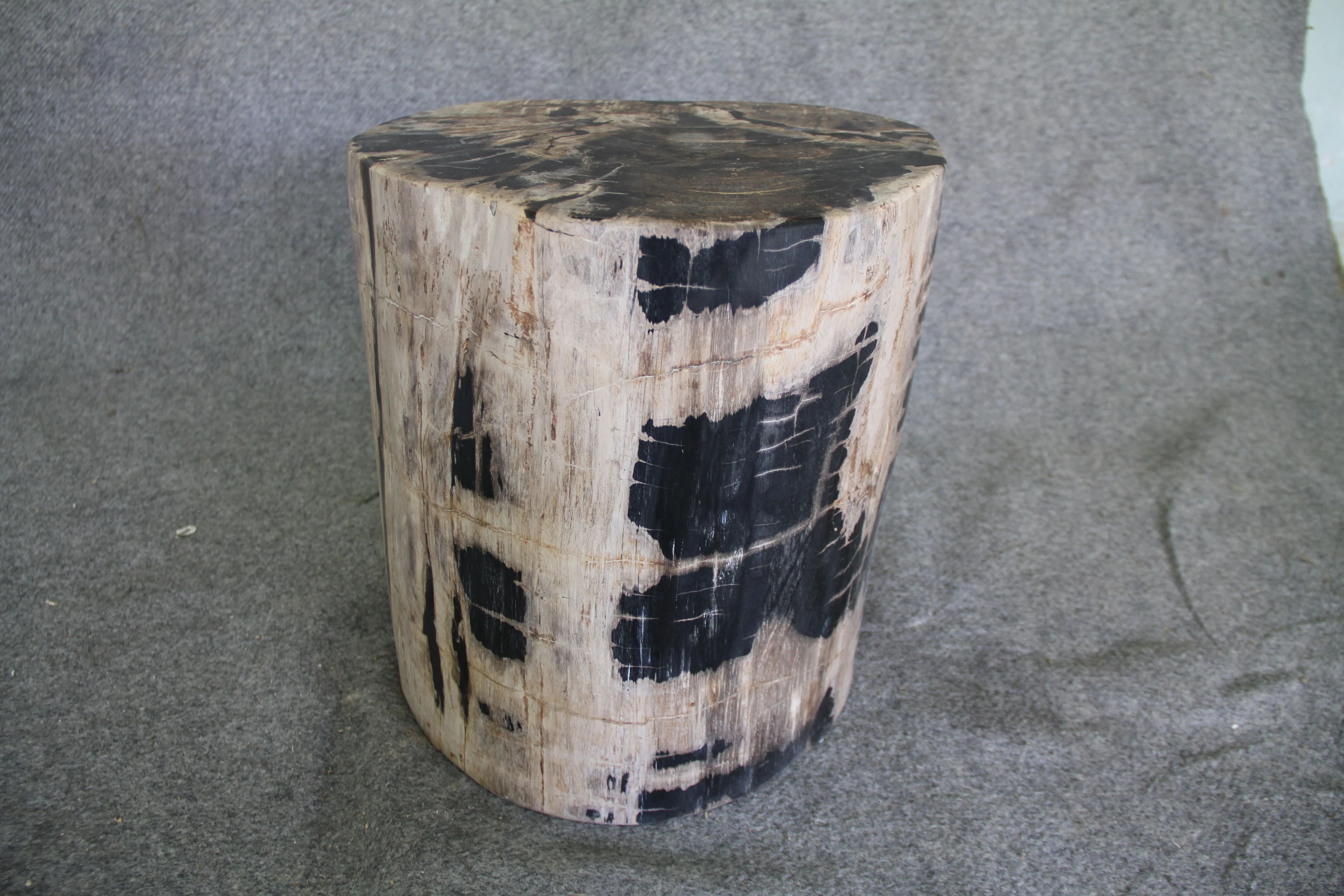 Petrified Wood Log Stool 15in x 13in x 16in (h) - 1631.22 - Image 4