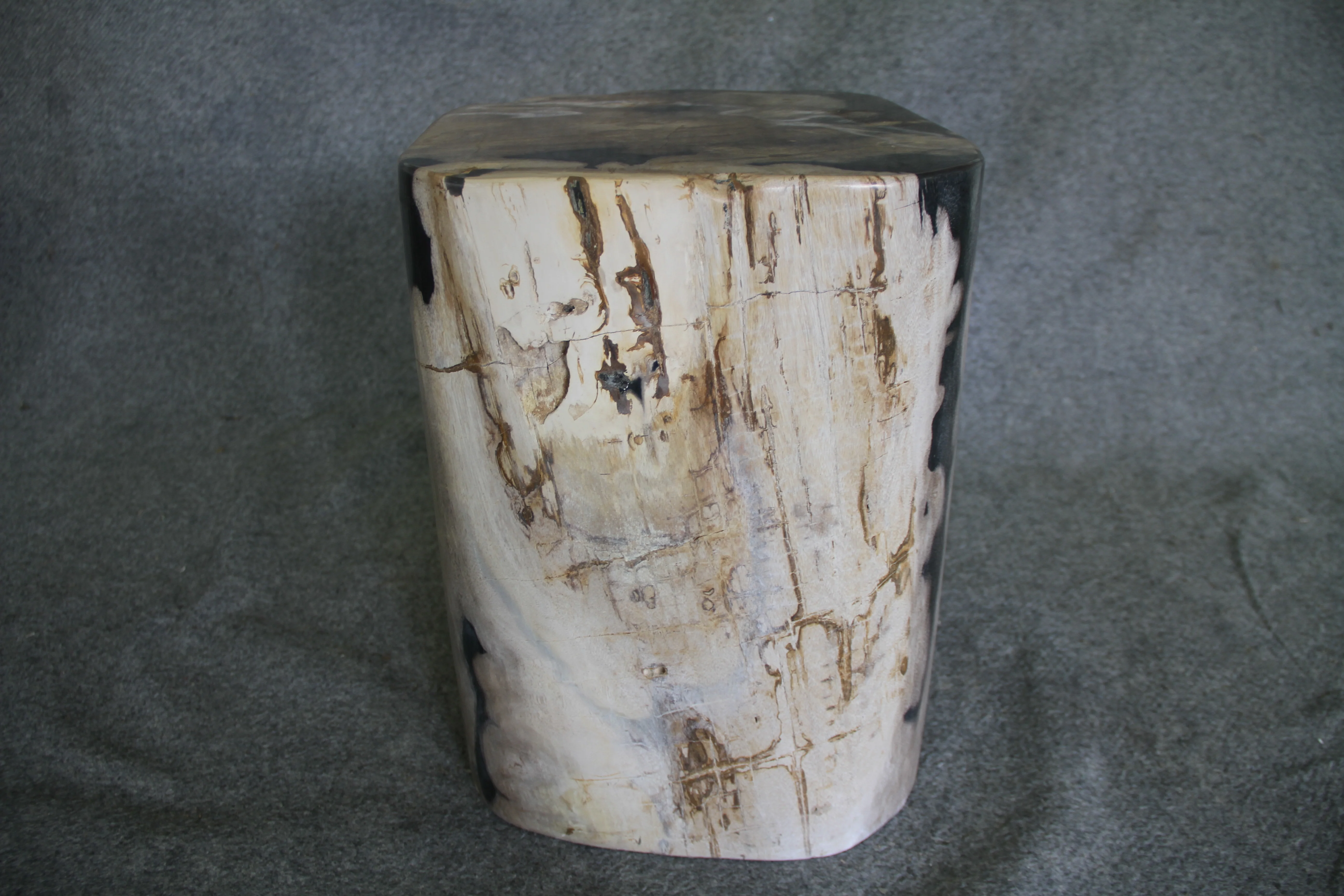Petrified Wood Log Stool 18in (h) x 15in x 14in - 1223.22 - Image 3