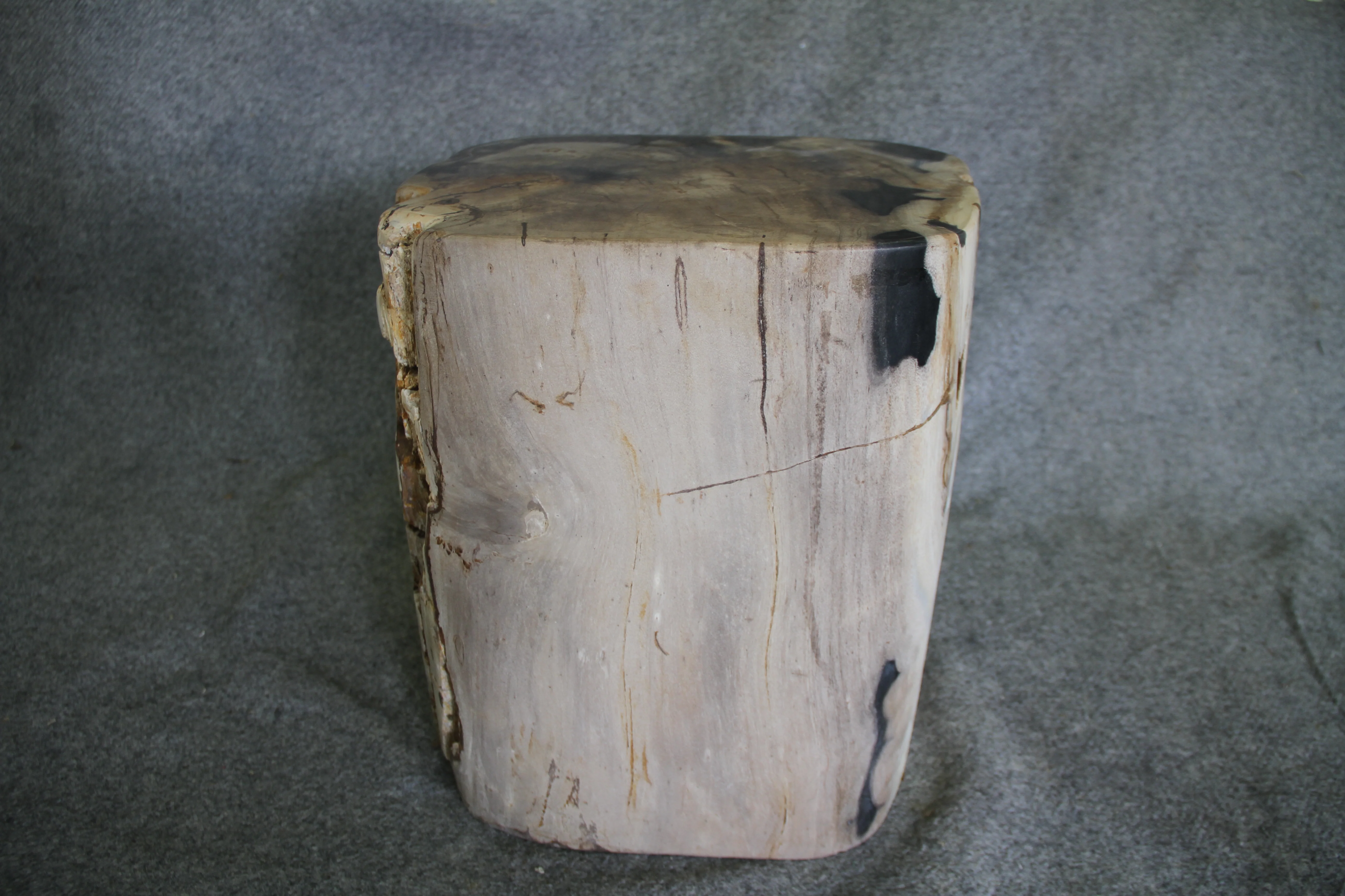 Petrified Wood Log Stool 18in (h) x 15in x 14in - 1223.22 - Image 4