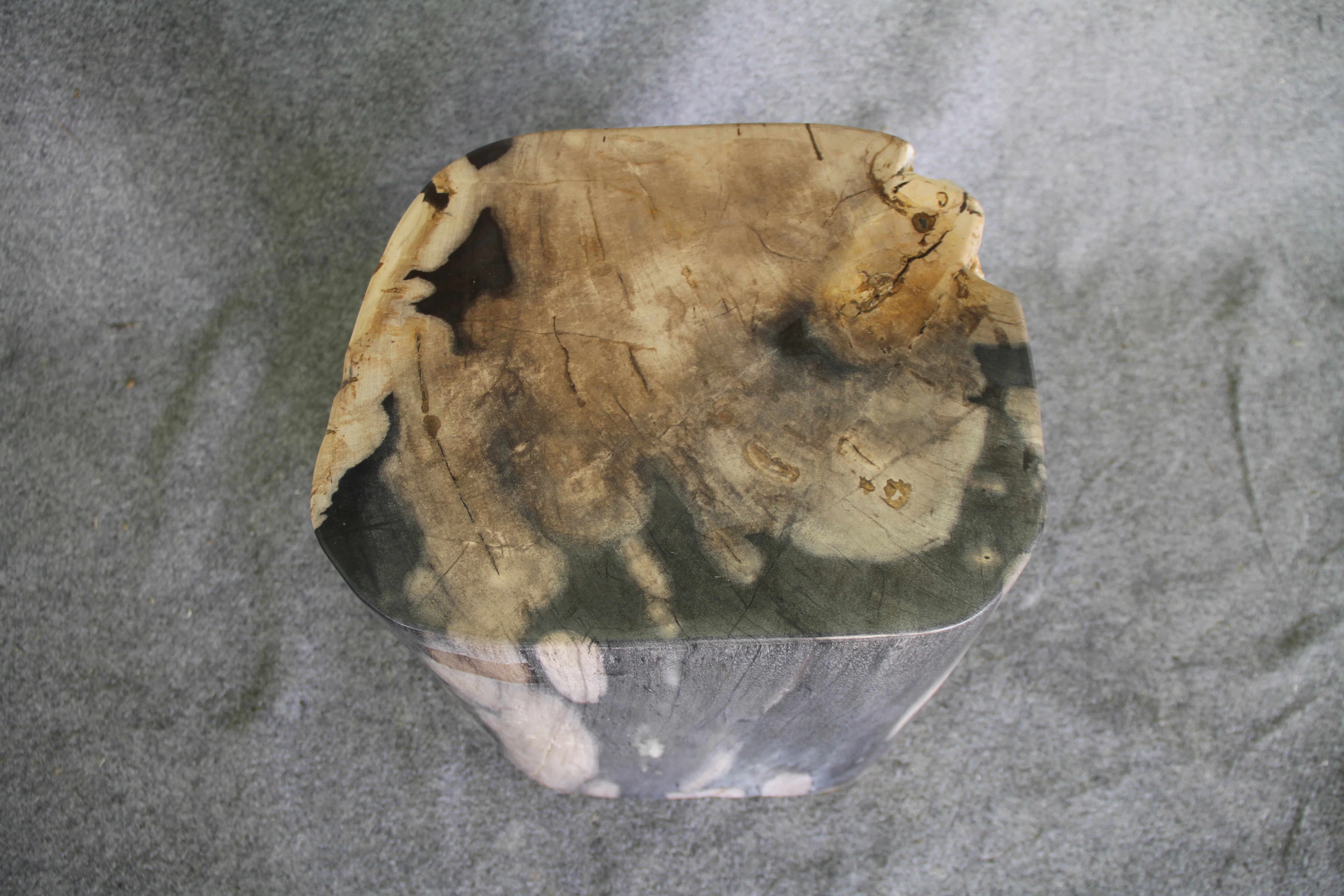 Petrified Wood Log Stool 18in (h) x 15in x 14in - 1223.22 - Image 5