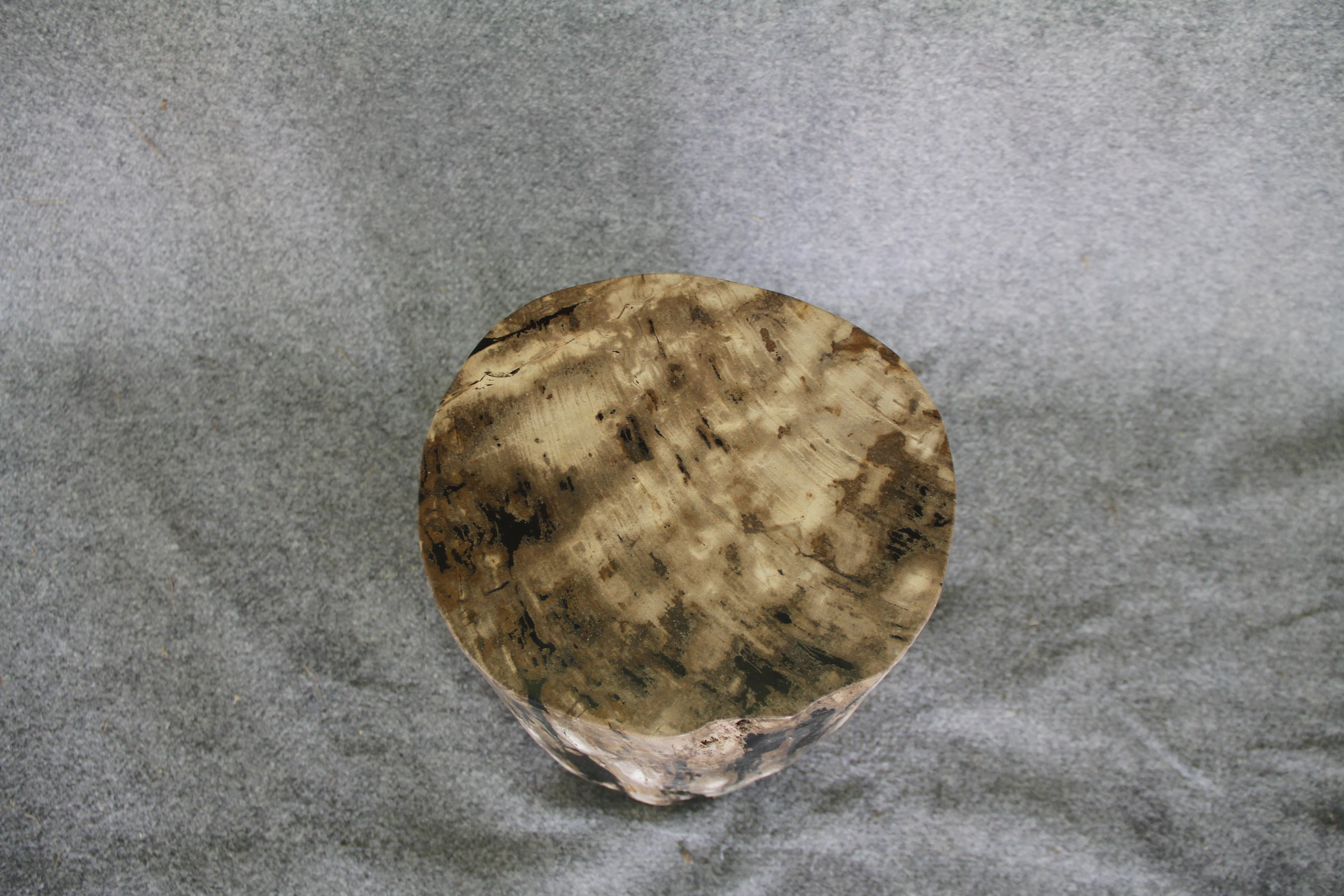 Petrified Wood Log Stool 16in x 11in x 10in - DV.161 - Image 2