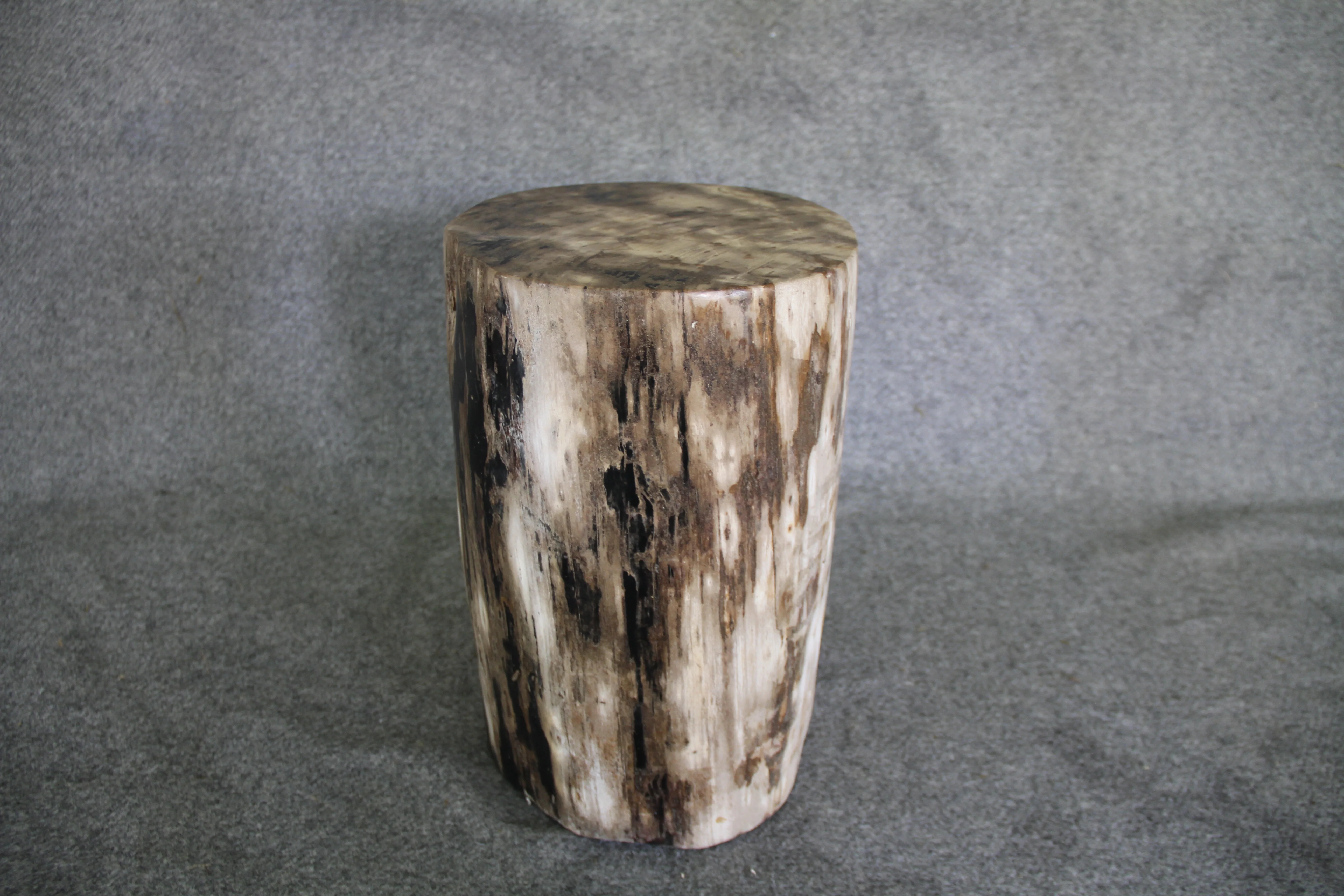 Petrified Wood Log Stool 16in x 11in x 10in - DV.161 - Image 3