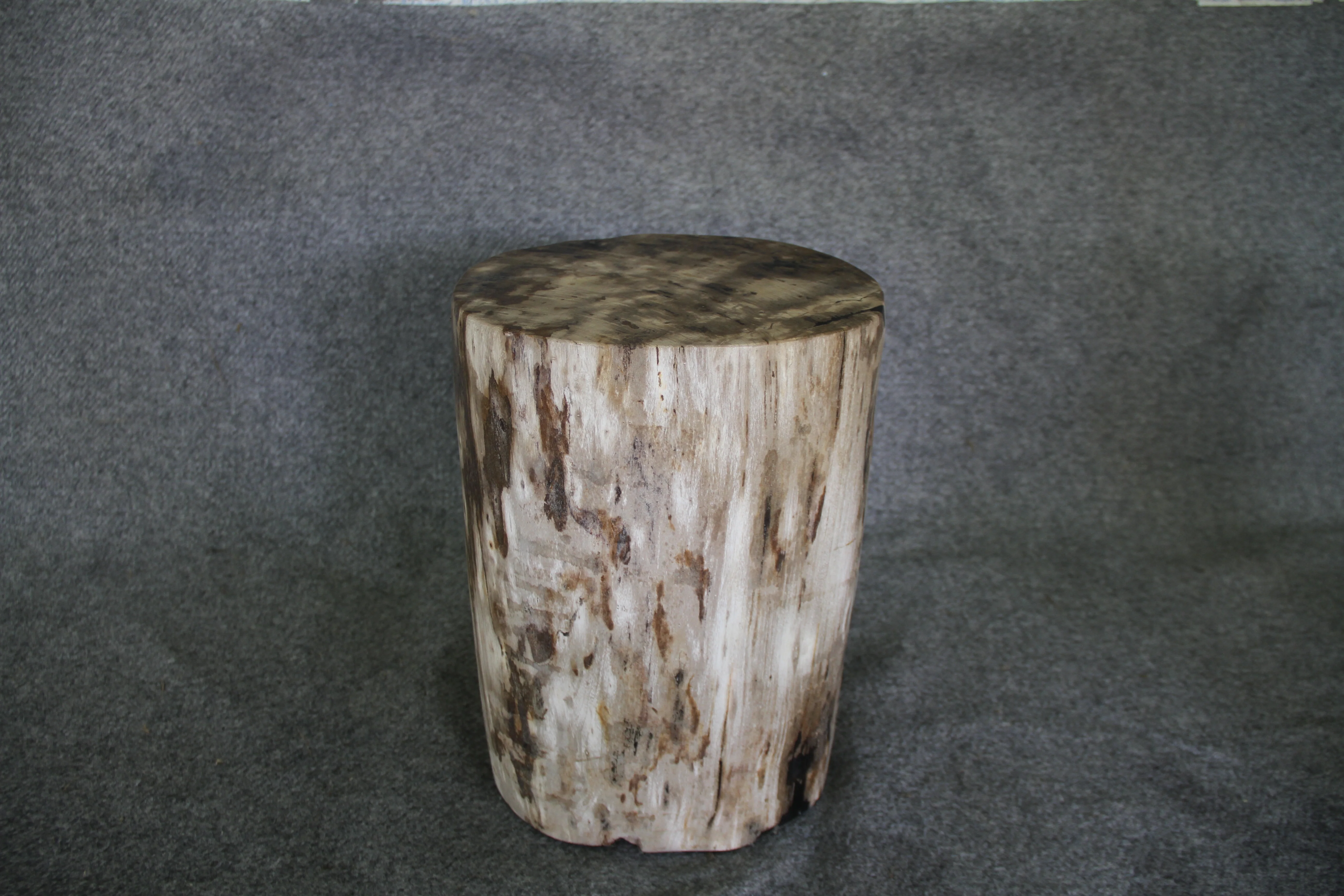 Petrified Wood Log Stool 16in x 11in x 10in - DV.161 - Image 4