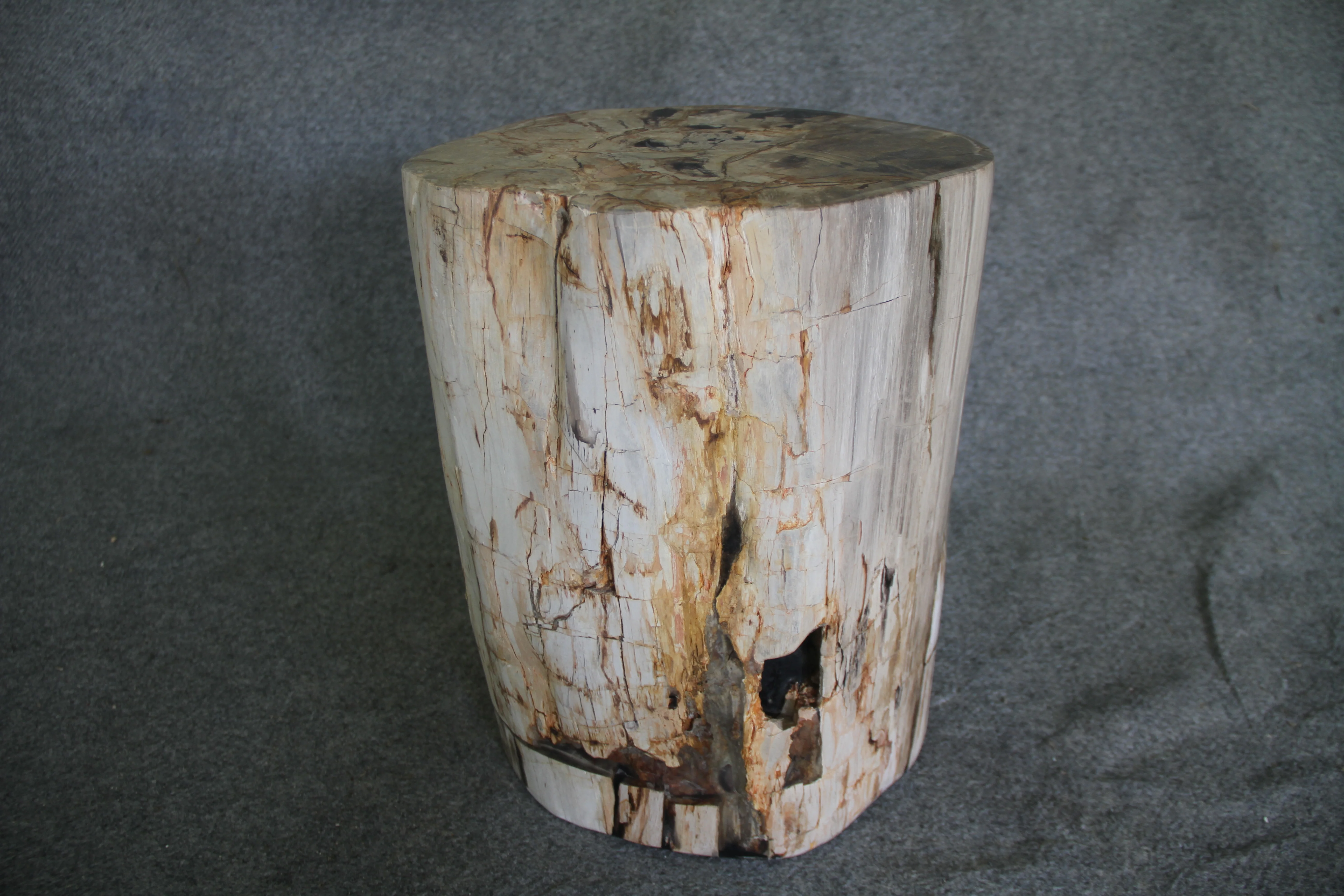 Petrified Wood Log Stool 18in (h) x 14in x 12in - 1803.22 - Image 2