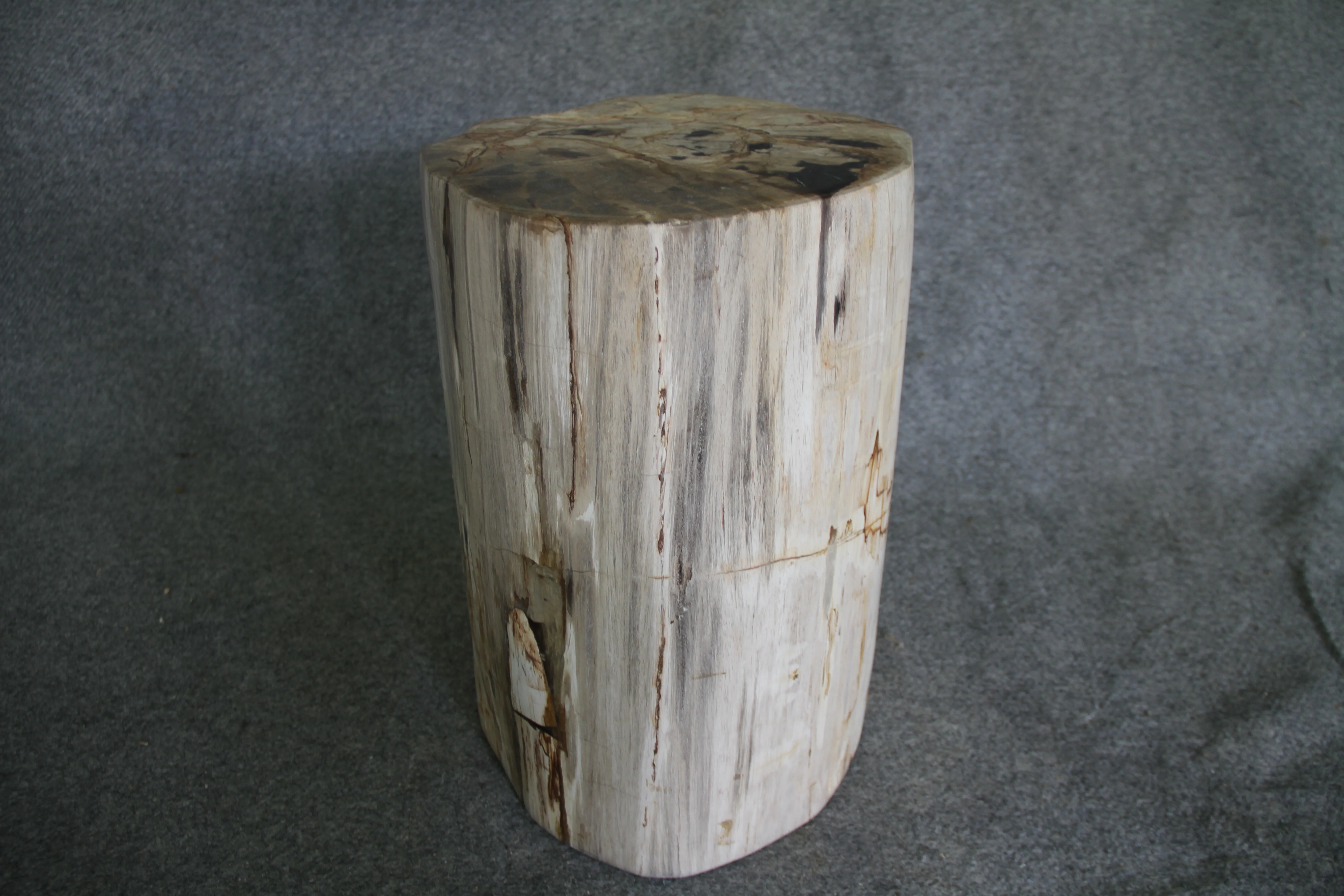 Petrified Wood Log Stool 18in (h) x 14in x 12in - 1803.22 - Image 4