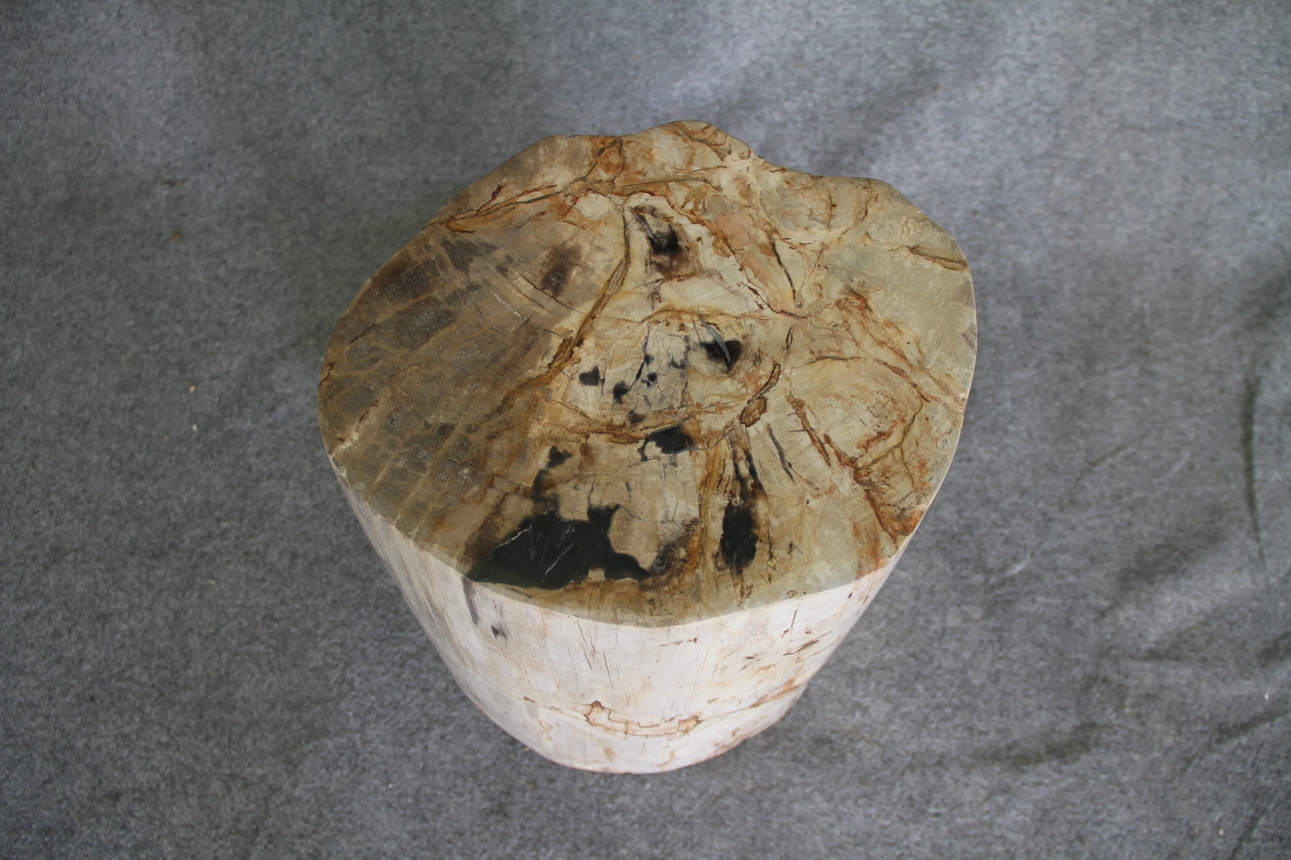 Petrified Wood Log Stool 18in (h) x 14in x 12in - 1803.22 - Image 5