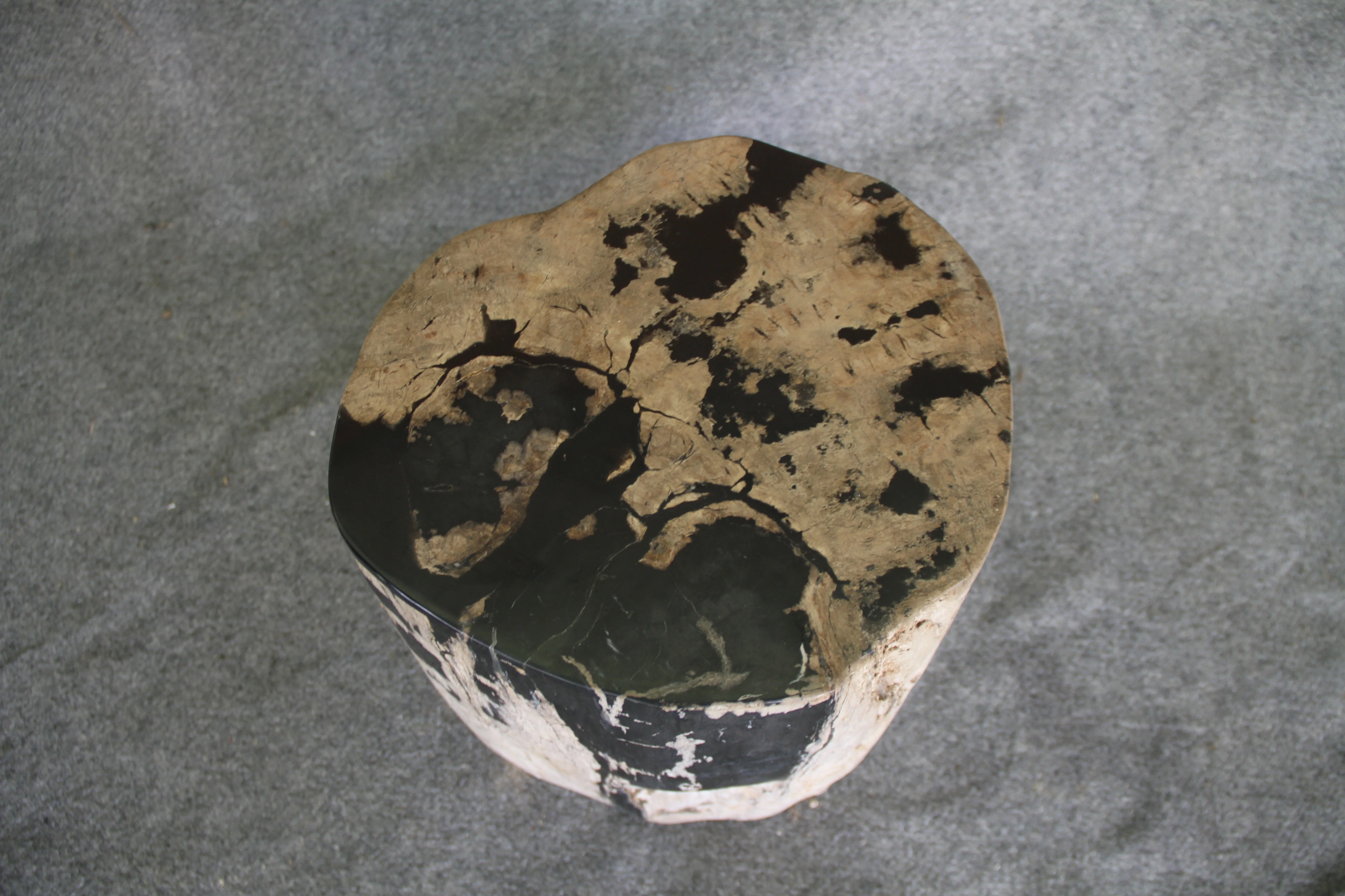 Petrified Wood Log Stool 16in (h) x 14in x 13in - 190.22 - Image 2
