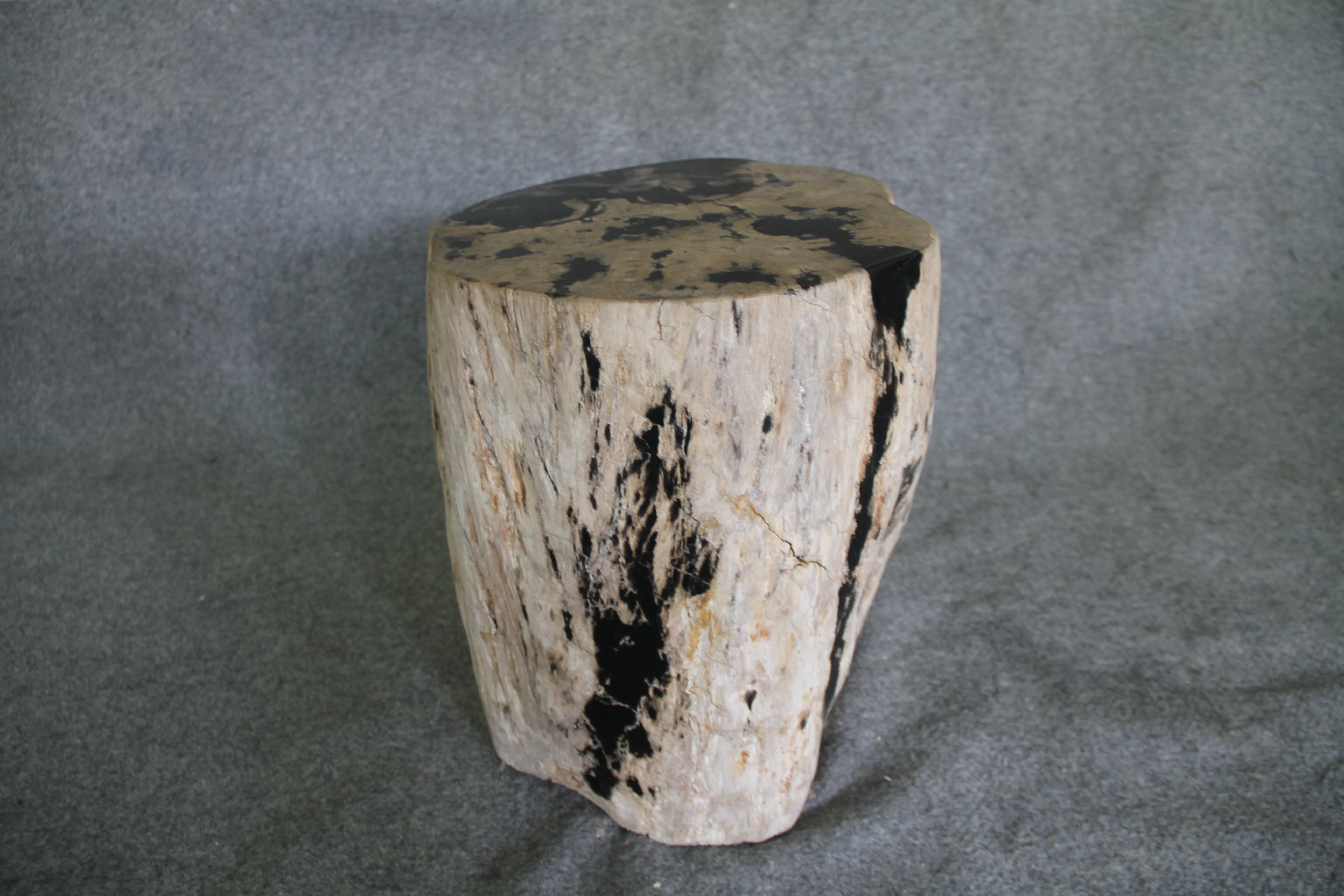 Petrified Wood Log Stool 16in (h) x 14in x 13in - 190.22 - Image 3