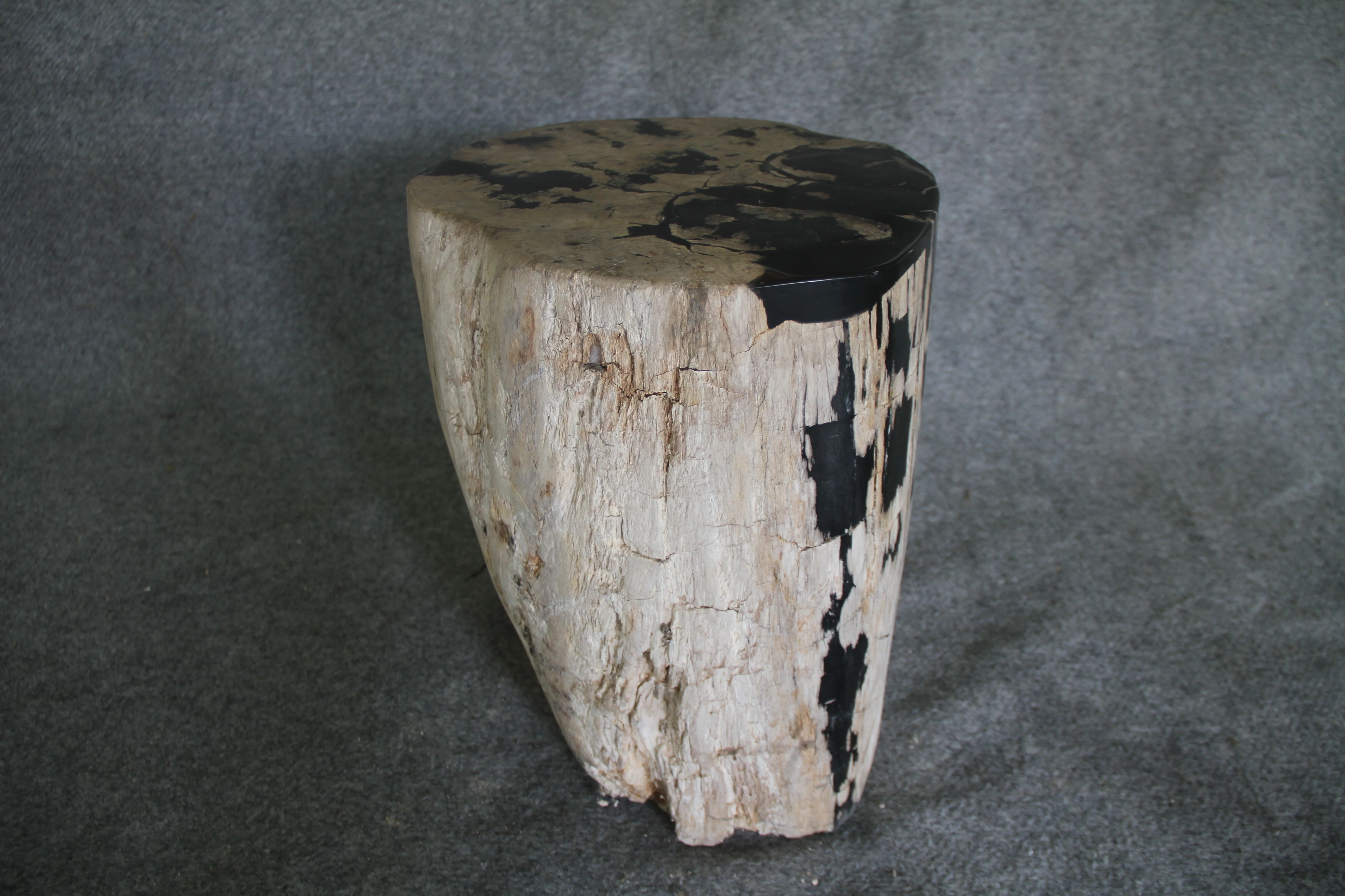 Petrified Wood Log Stool 16in (h) x 14in x 13in - 190.22 - Image 4
