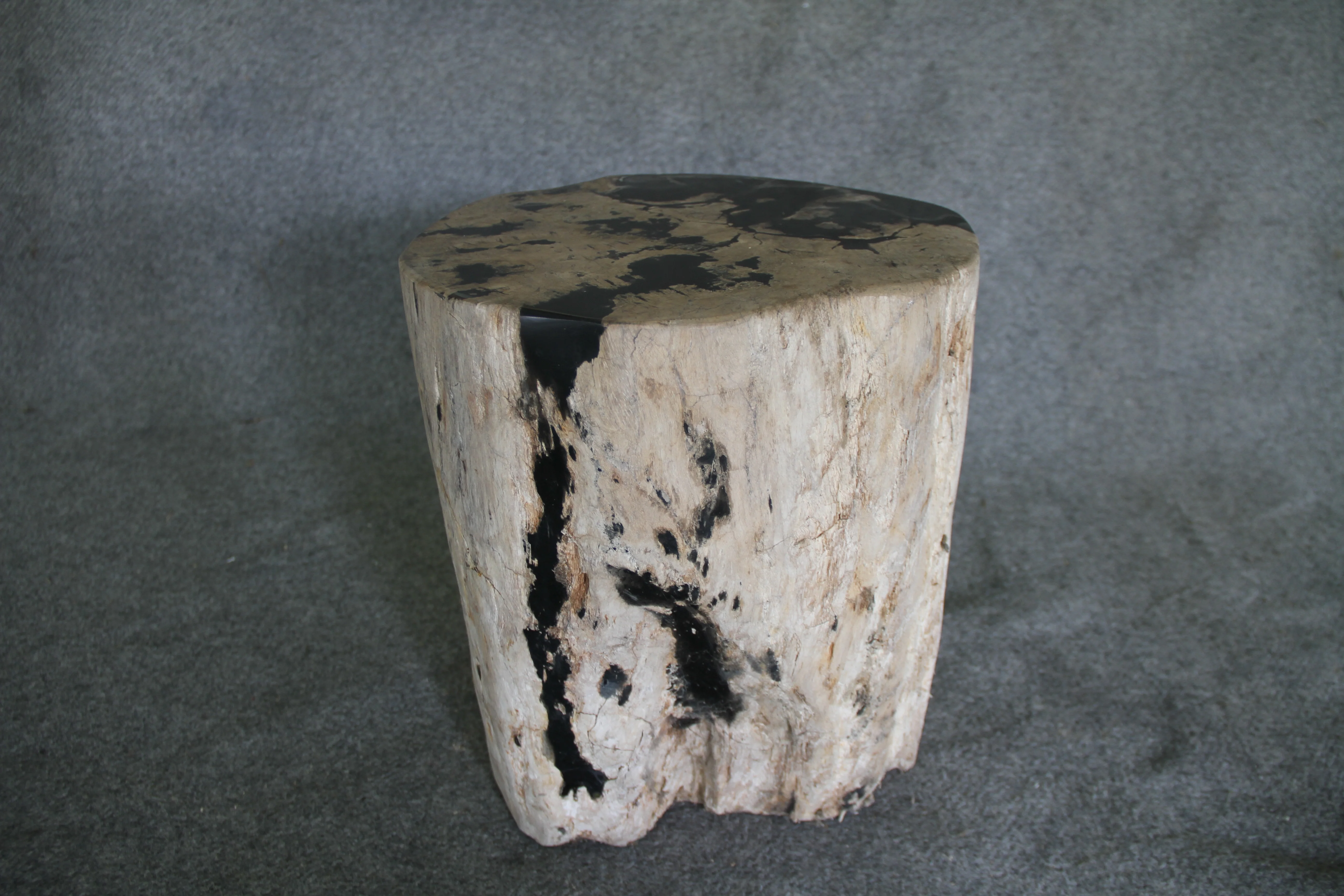 Petrified Wood Log Stool 16in (h) x 14in x 13in - 190.22 - Image 5