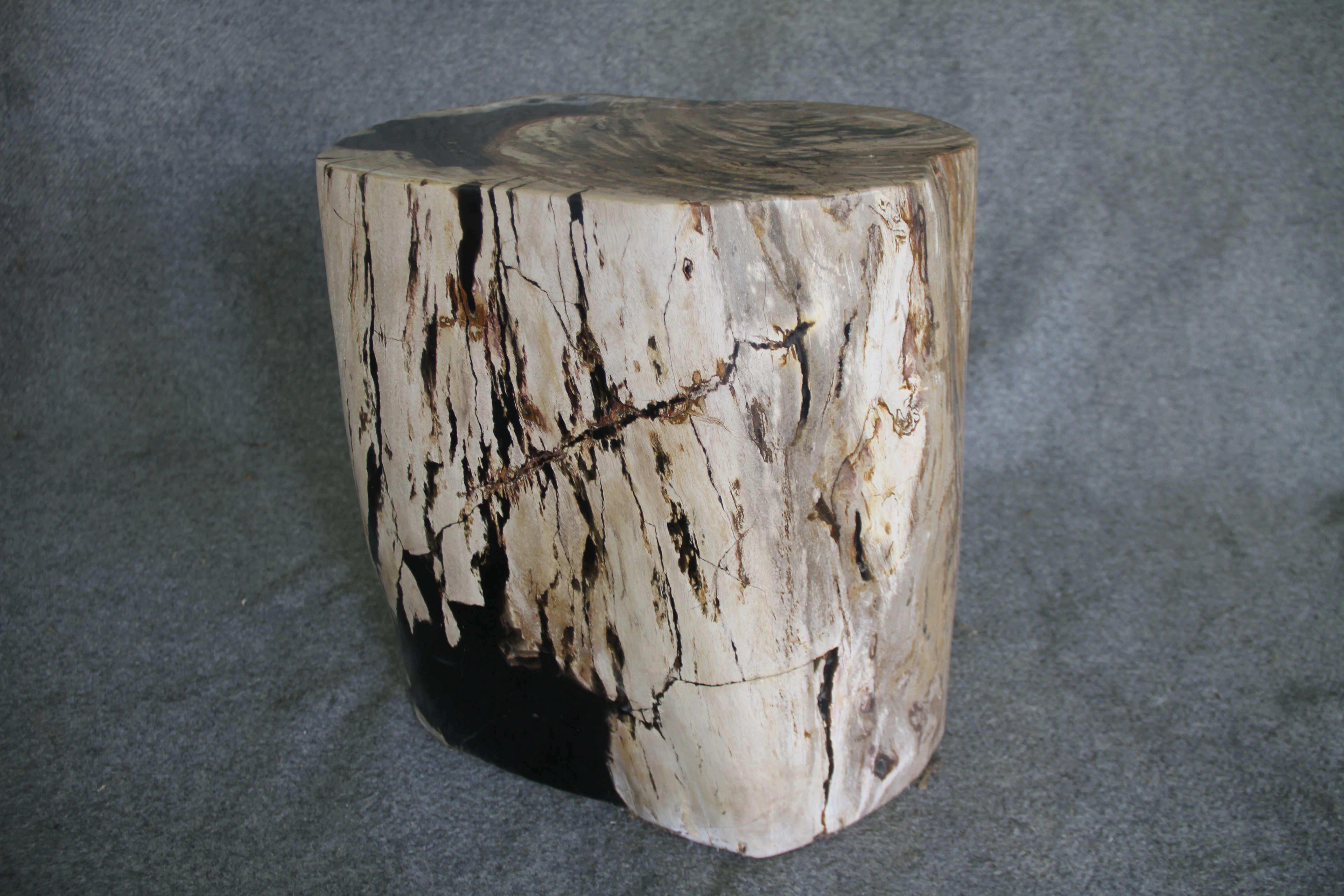 Petrified Wood Log Stool 18in (h) x 15in x 13in - 1123.22 - Image 2