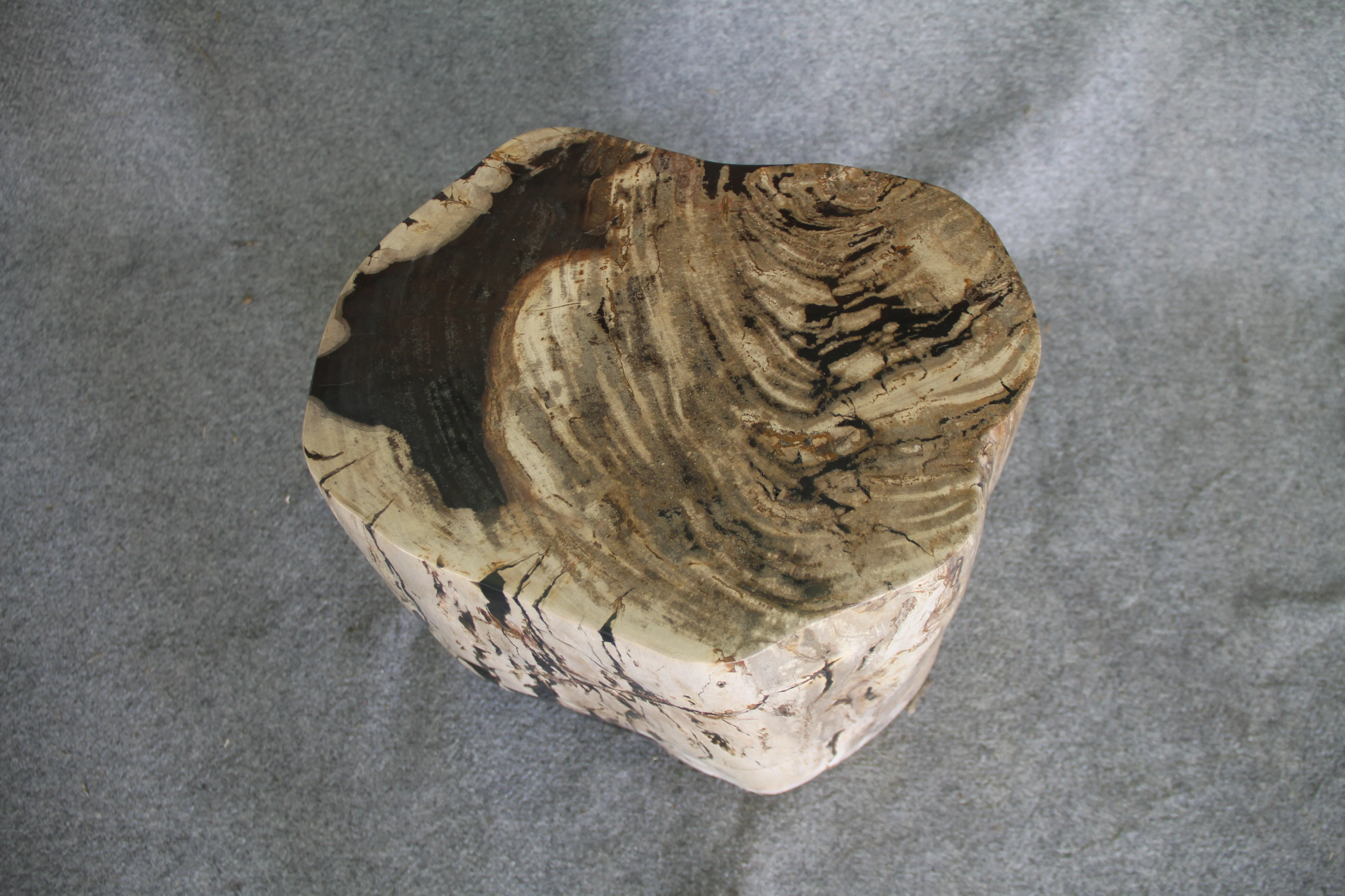 Petrified Wood Log Stool 18in (h) x 15in x 13in - 1123.22 - Image 5