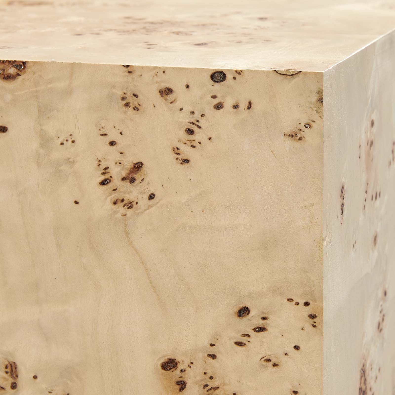 Cosmos 36" Square Burl Wood Coffee Table By Modway - EEI-6272 - Image 13