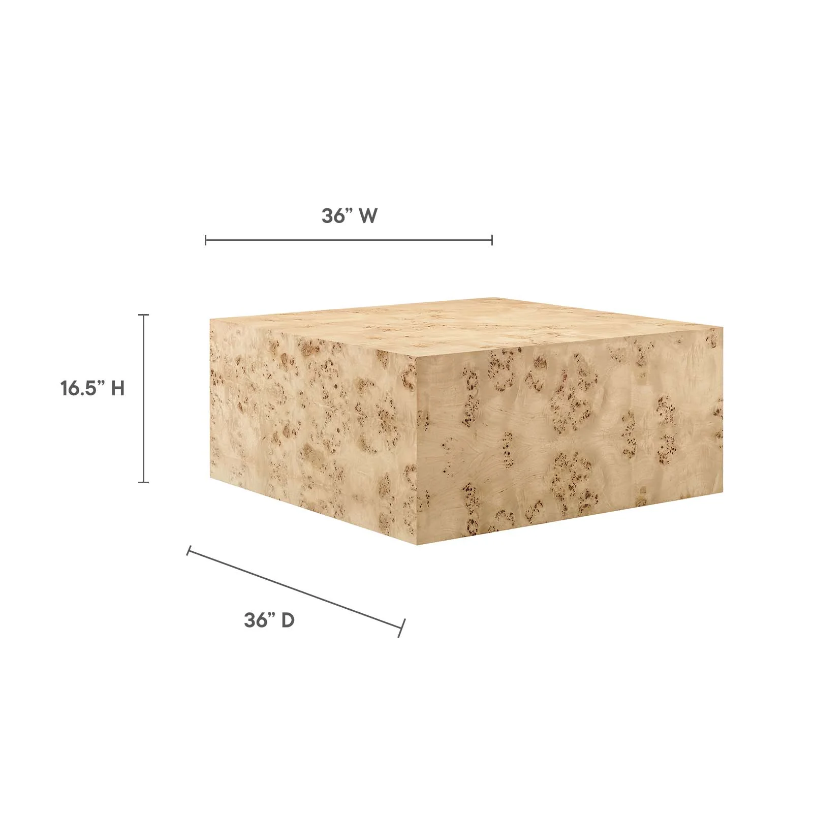 Cosmos 36" Square Burl Wood Coffee Table By Modway - EEI-6272 - Image 15