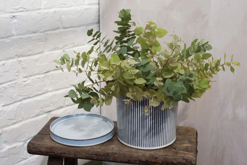 Curio Pot with Saucer 7.5"x 6.75" By Accent Decor - Image 3