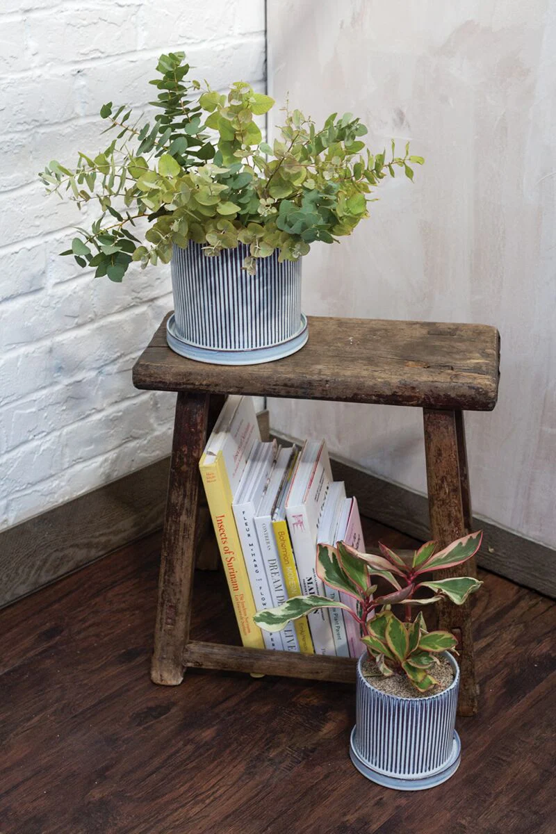 Curio Pot with Saucer 7.5"x 6.75" By Accent Decor - Image 6