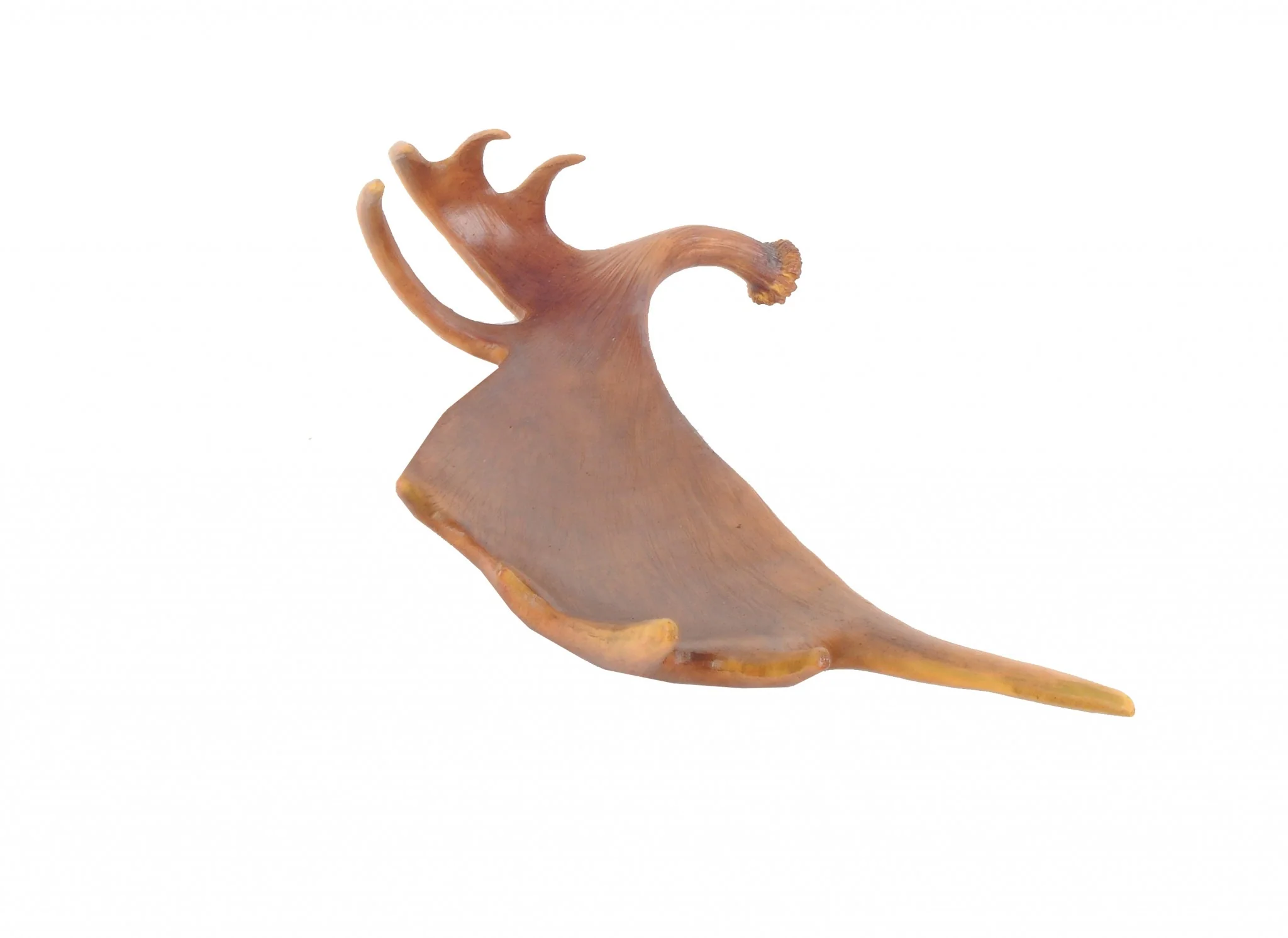 Deer Antler Tray By Homeroots - Image 3