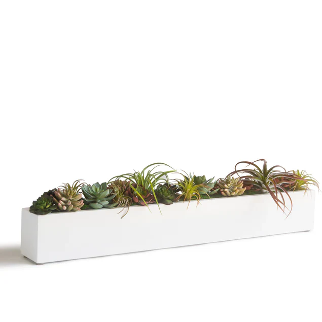 Desert Garden 2 By Gold Leaf Design Group - Image 2
