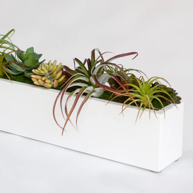 Desert Garden 2 By Gold Leaf Design Group - Image 5