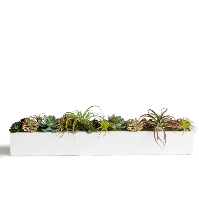 Desert Garden 2 By Gold Leaf Design Group - Image 6