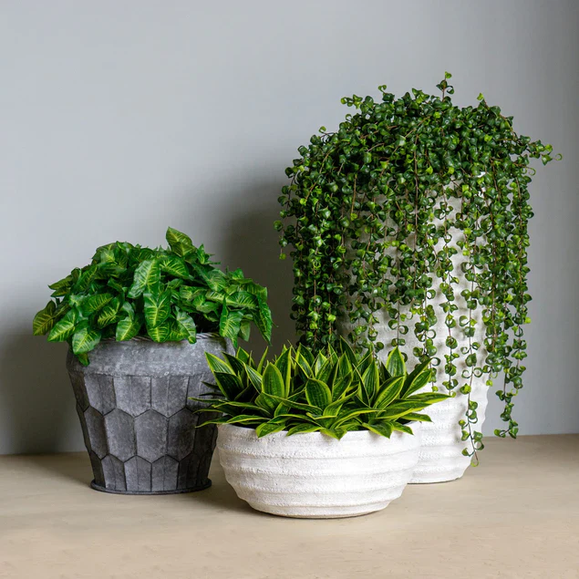 Dolma Bowl Ant White, Set of 3 Planter By Gold Leaf Design Group - Image 2