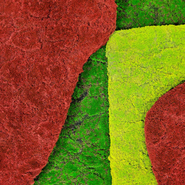 Doodle Green Wall, Set/ 6 By Gold Leaf Design Group - Image 9