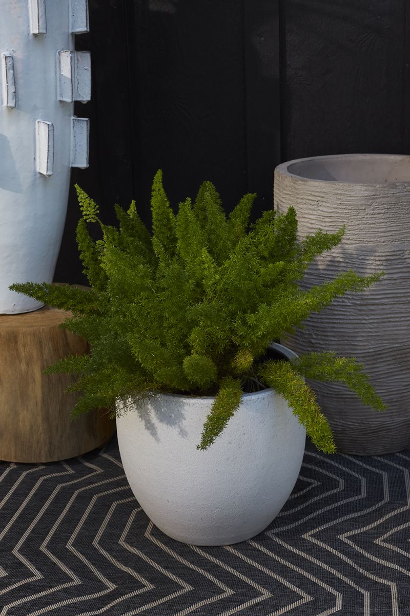 Druid Pot By Accent Decor - Image 2