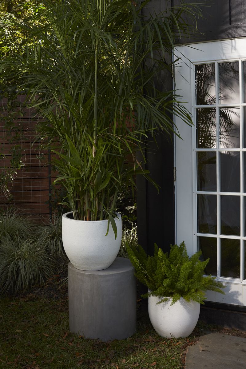 Druid Pot By Accent Decor - Image 4