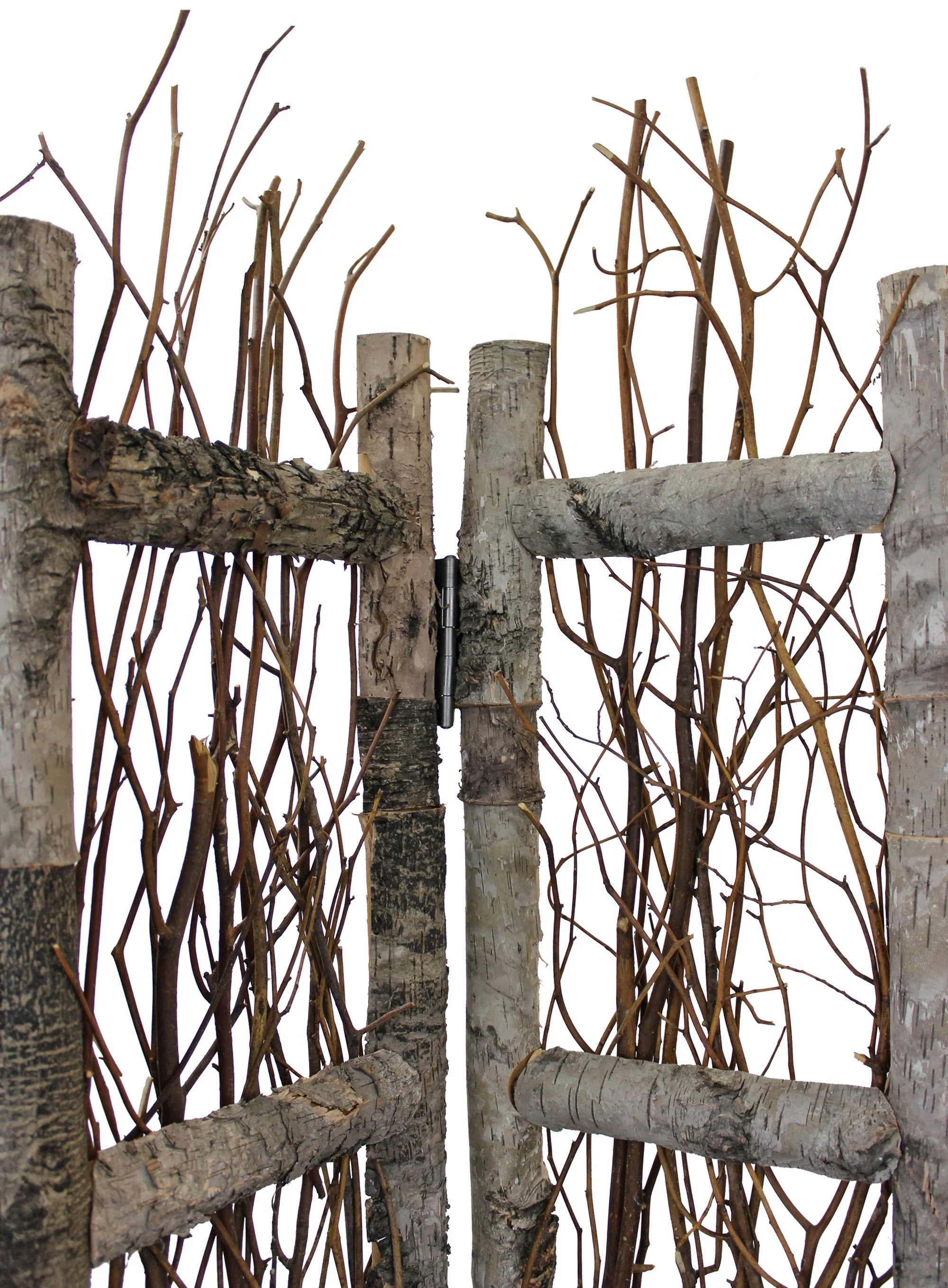 Earthy Birch And Twig Four Panel Room Divider Screen By Homeroots - Image 7