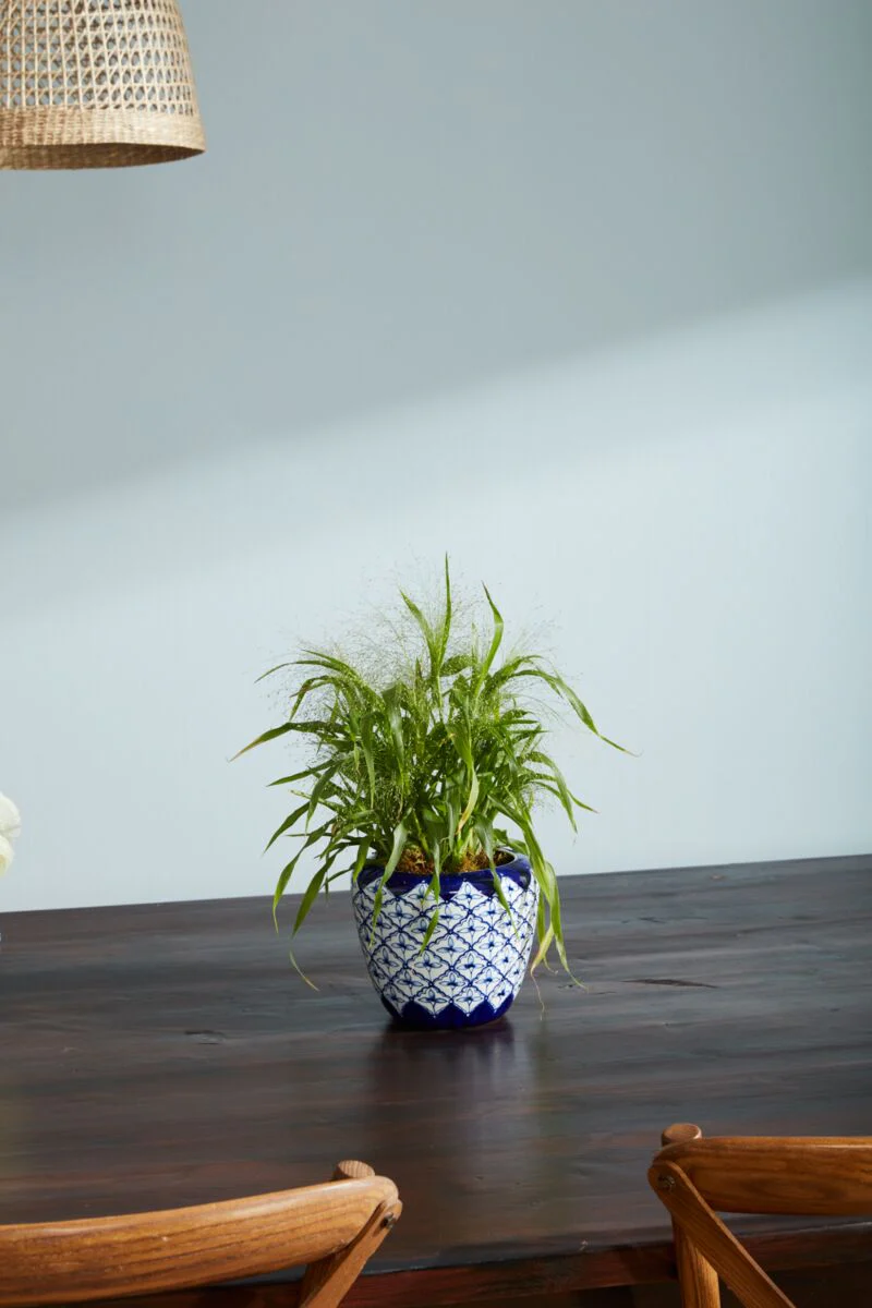 Eleanor Pot 7.25"x 6" By Accent Decor - Image 4