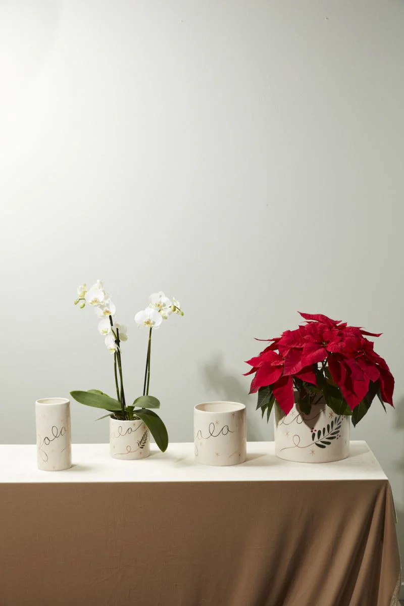 Falala Pot 9" x  7" By Accent Decor - Image 3
