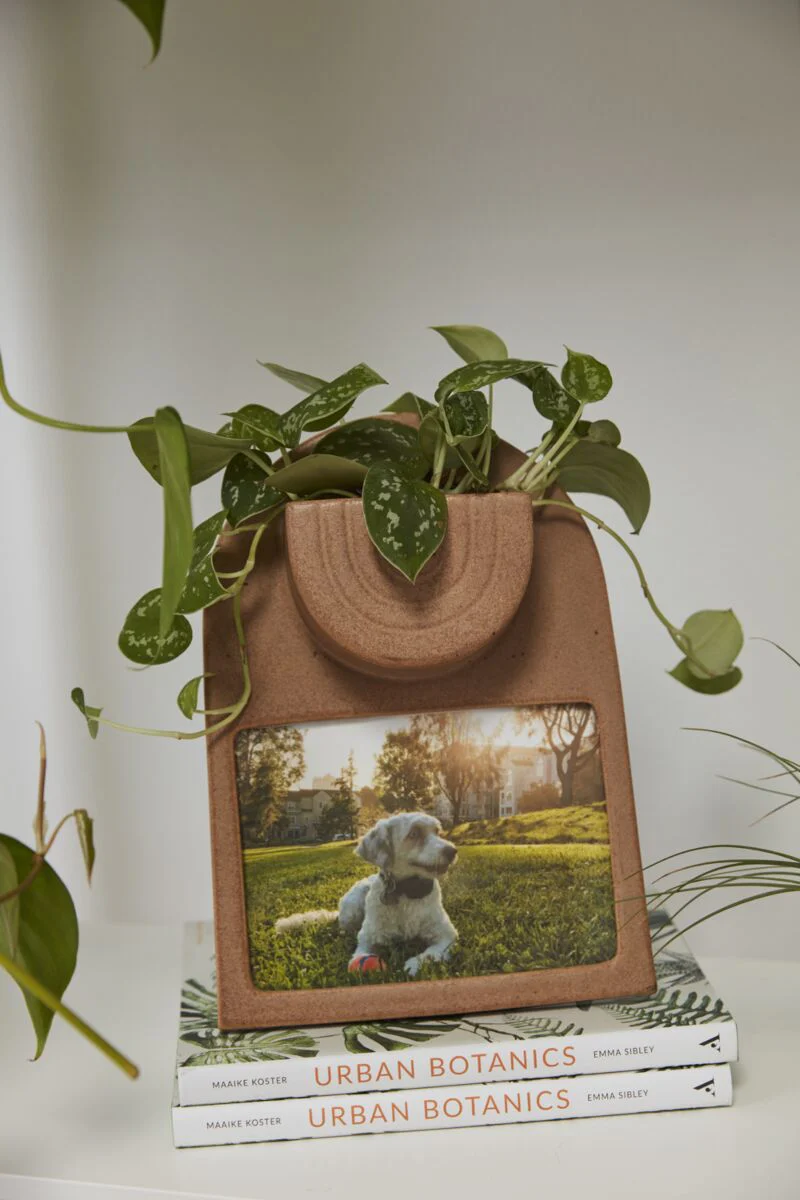 Farran Frame 8"x 11.25" By Accent Decor - Image 2
