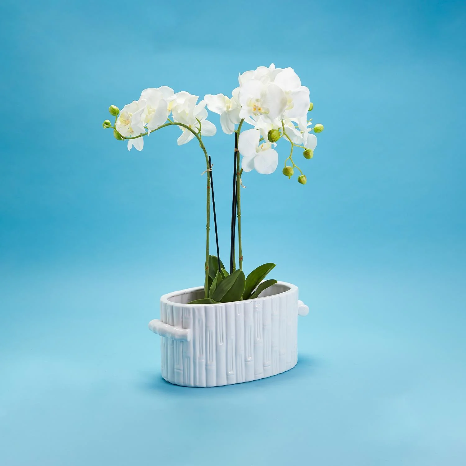 Faux Bamboo Oval Centerpiece / Cachepot with Handles Set Of 3 By Two's Company - Image 2