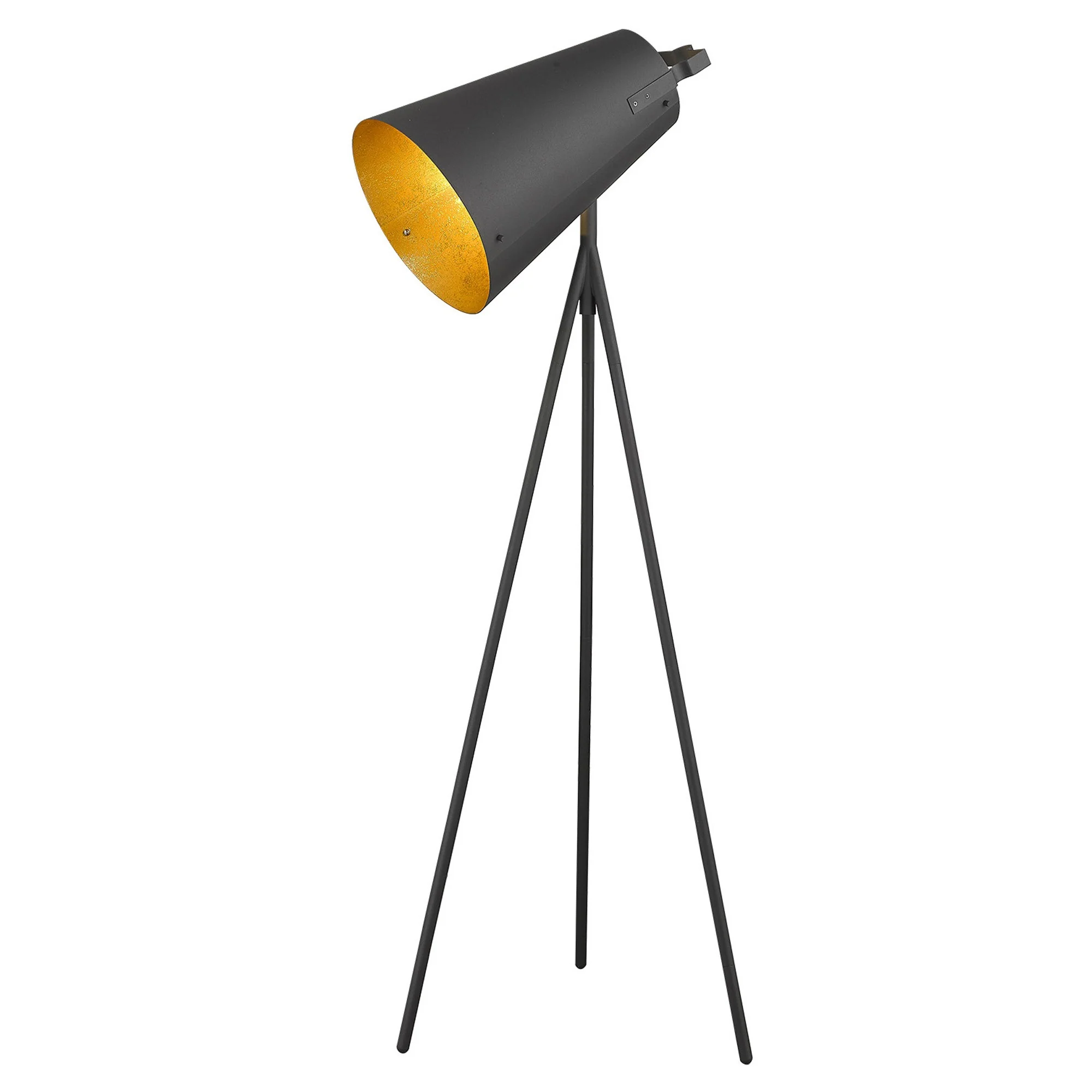 Faza 1-Light Matte Black Floor Lamp By Homeroots - Image 2
