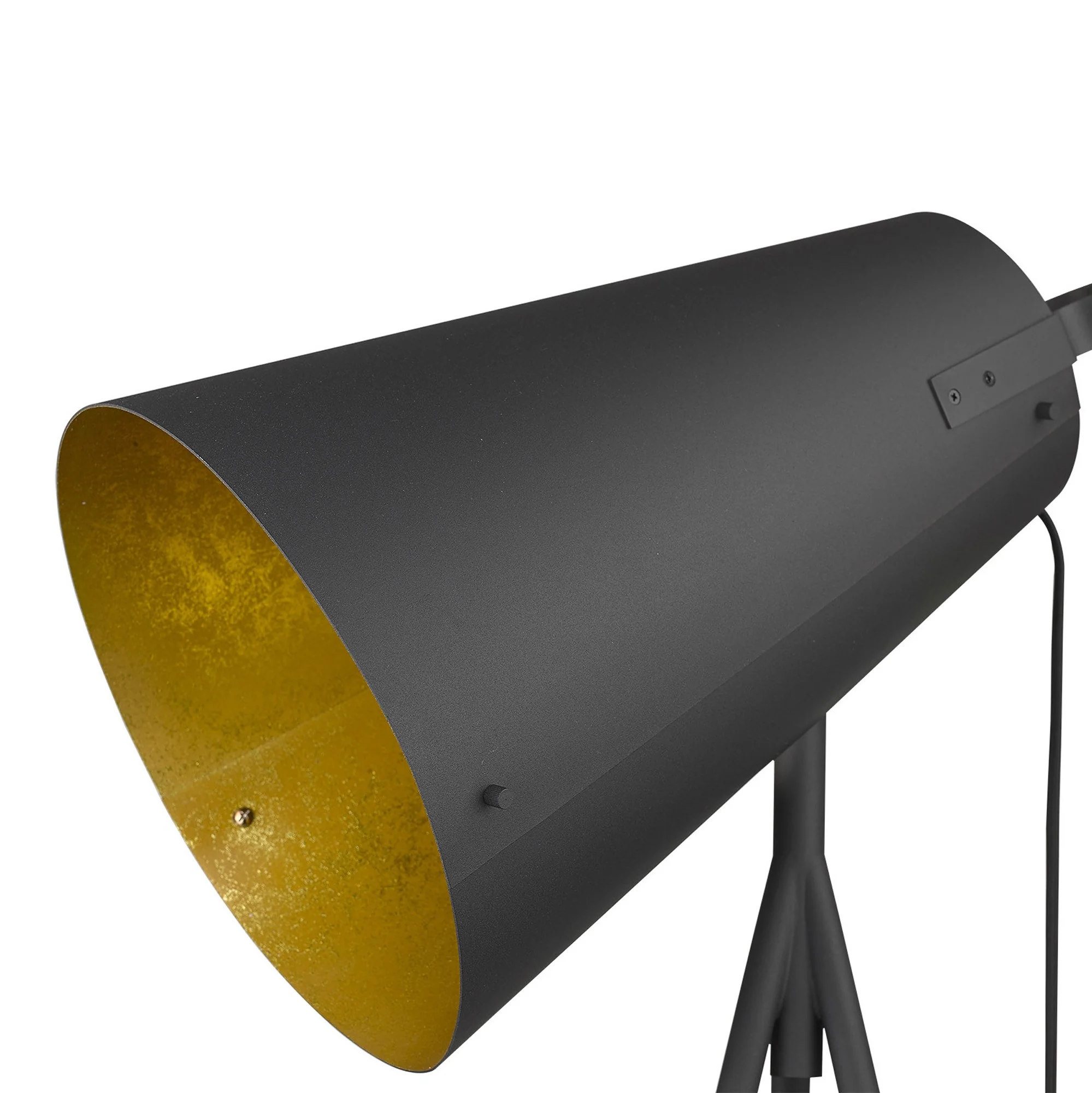 Faza 1-Light Matte Black Floor Lamp By Homeroots - Image 3