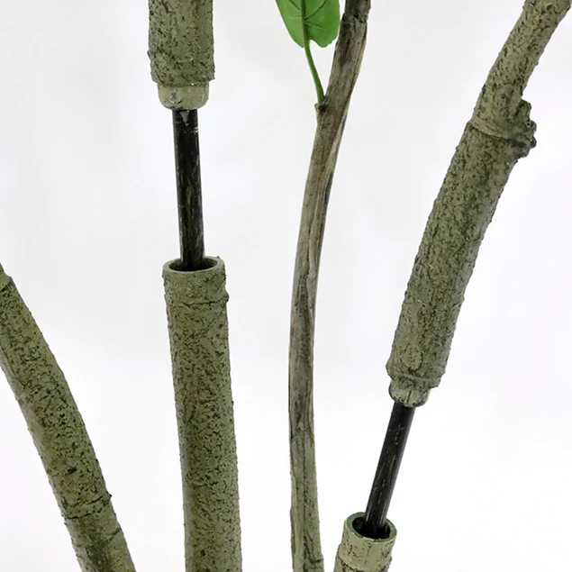 Fiddle Leaf Tree 72"H Bushy, Potted By Gold Leaf Design Group - Image 2