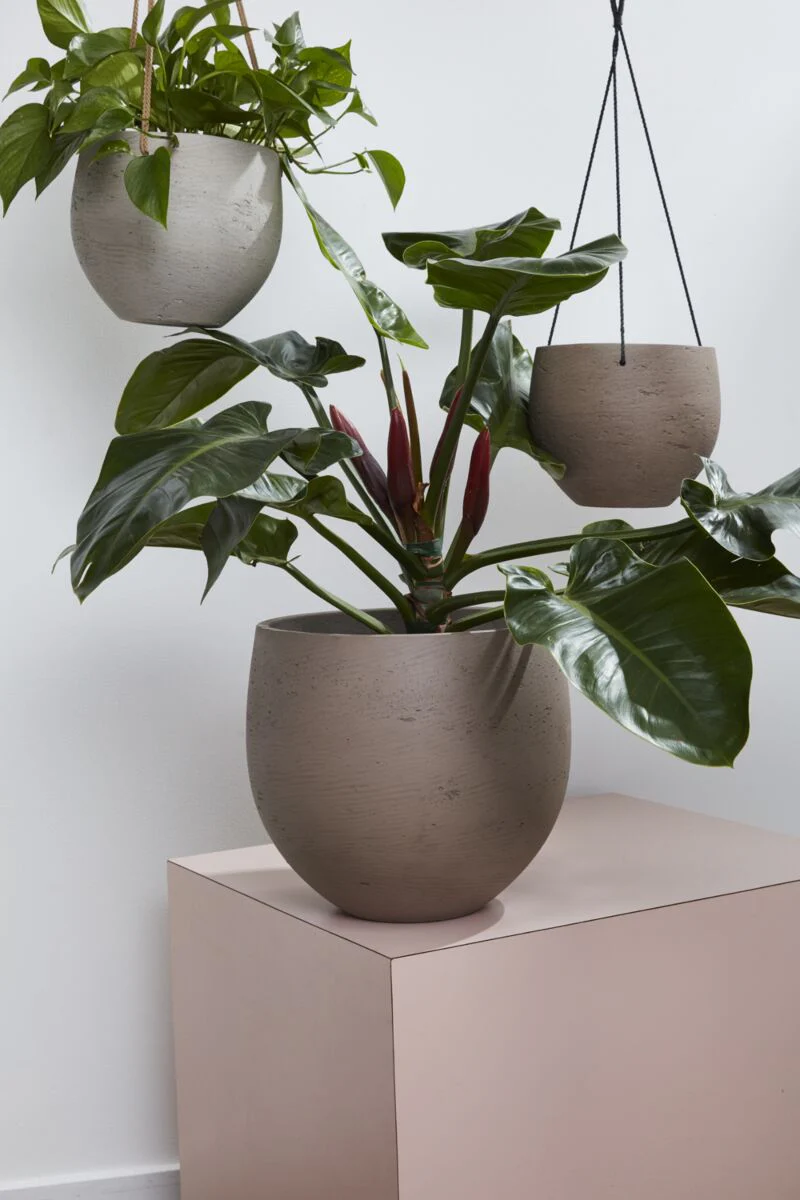 Figueroa Pot 14.5"x 14" By Accent Decor - Image 3