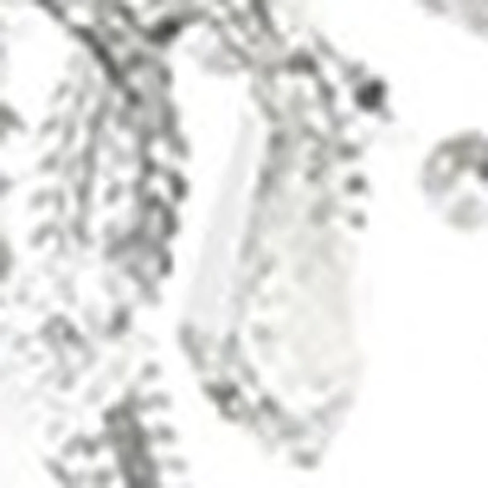 Glam Silver Faux Crystal Hanging Celing Lamp with See Thru Shade By Homeroots - Image 5