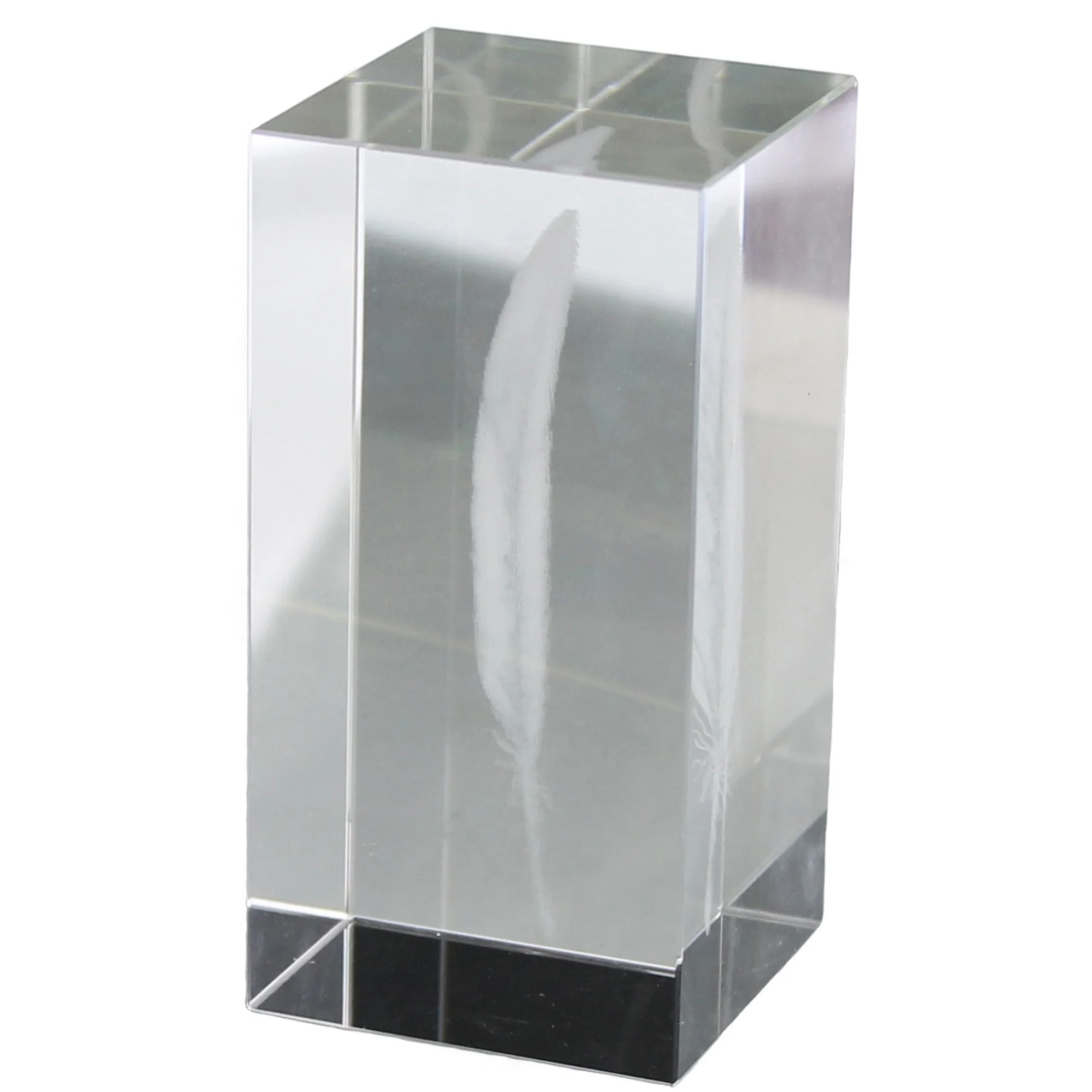 Glass Hologram - Feather Set Of 2 By HomArt - Image 2